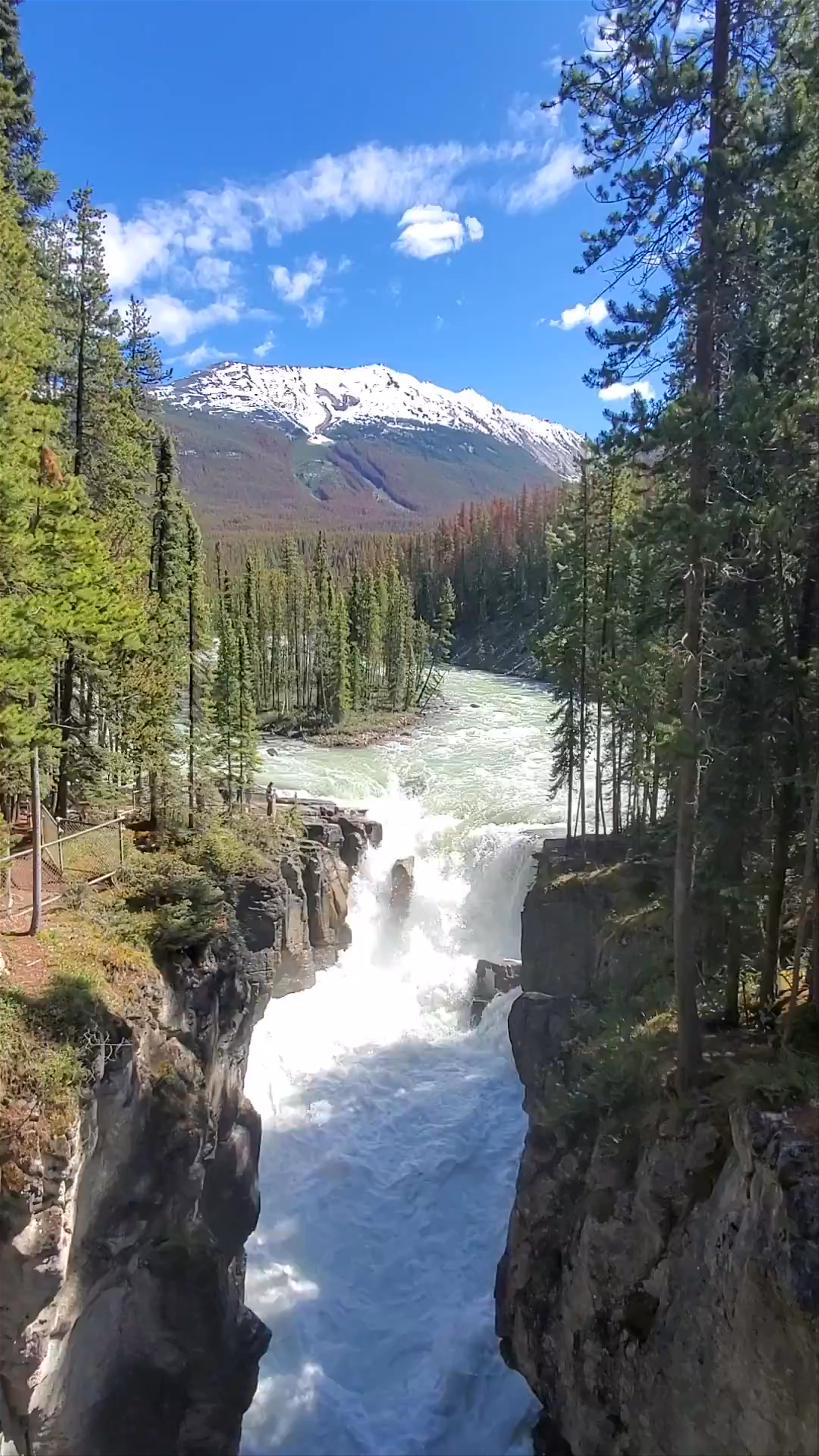 Athabasca Falls: Majestic Rapids and Mountain Serenity in Jasper, Canada