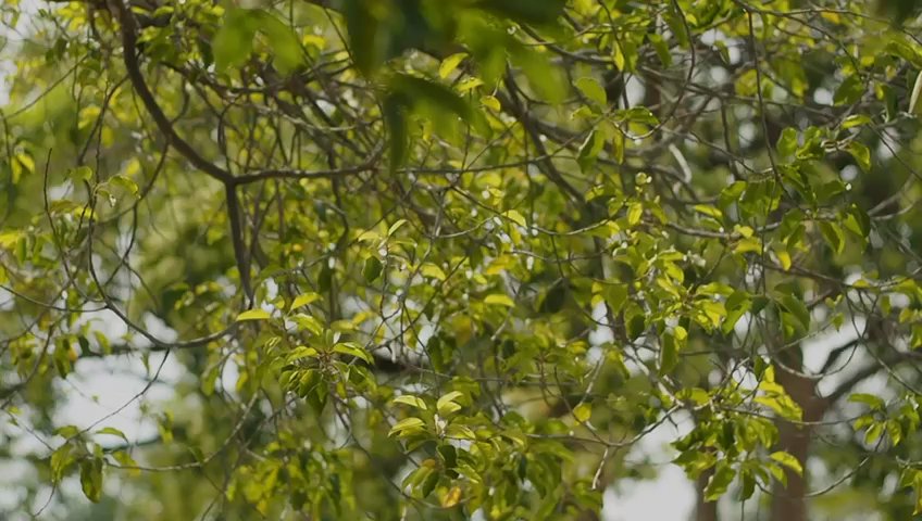 3+1 Bed Condo for Sale in  The Botany At Dairy Farm - Image 17