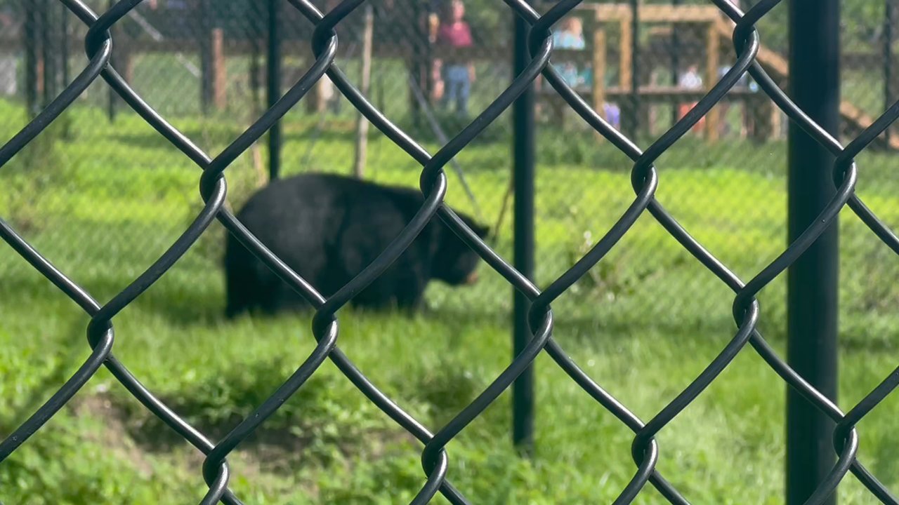 Busch Wildlife Sanctuary - Zoos Near Me - Jupiter, Florida