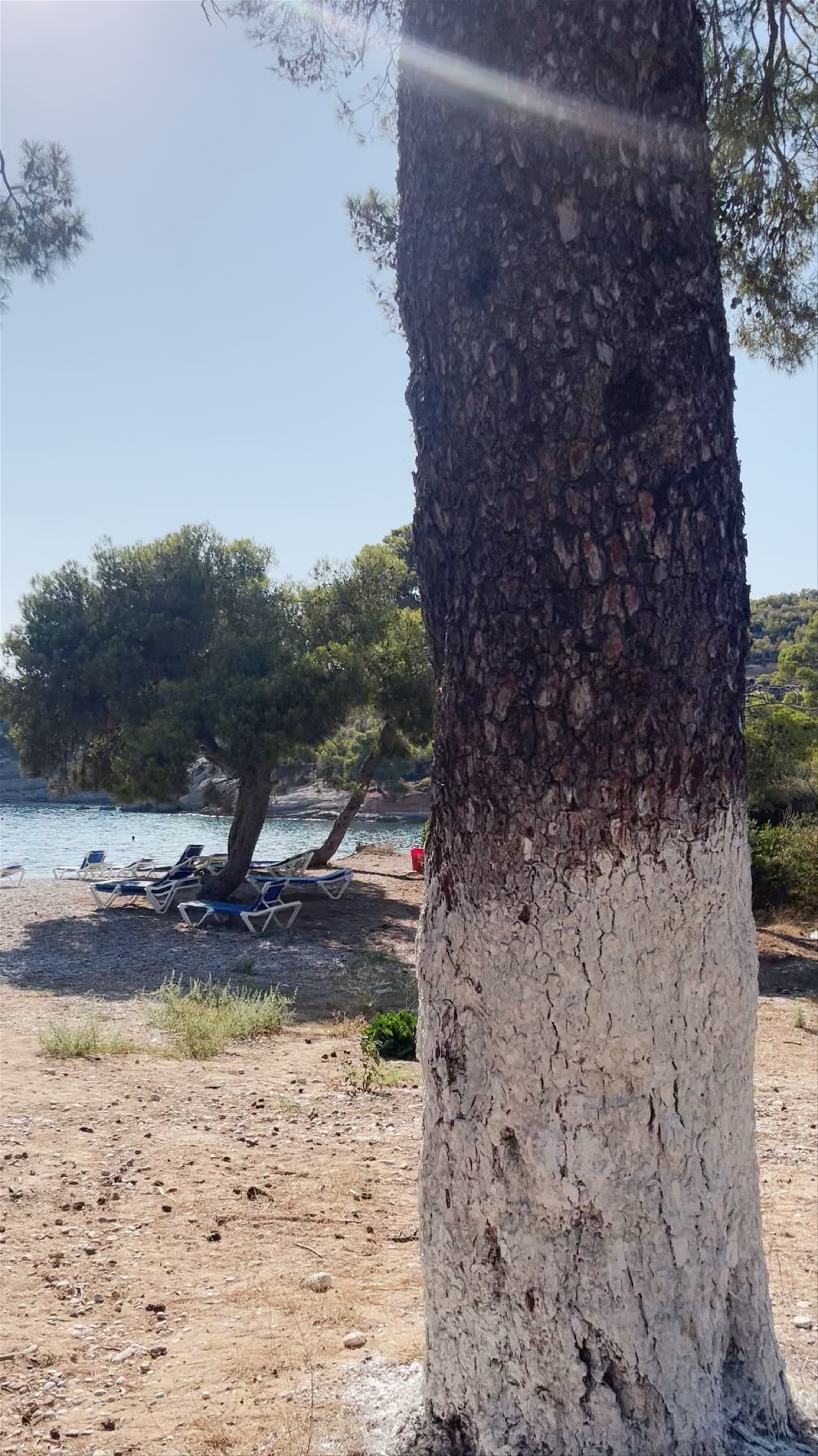 Αγία Παρασκευή