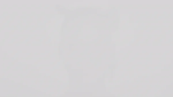 Shiseido - © Artlist