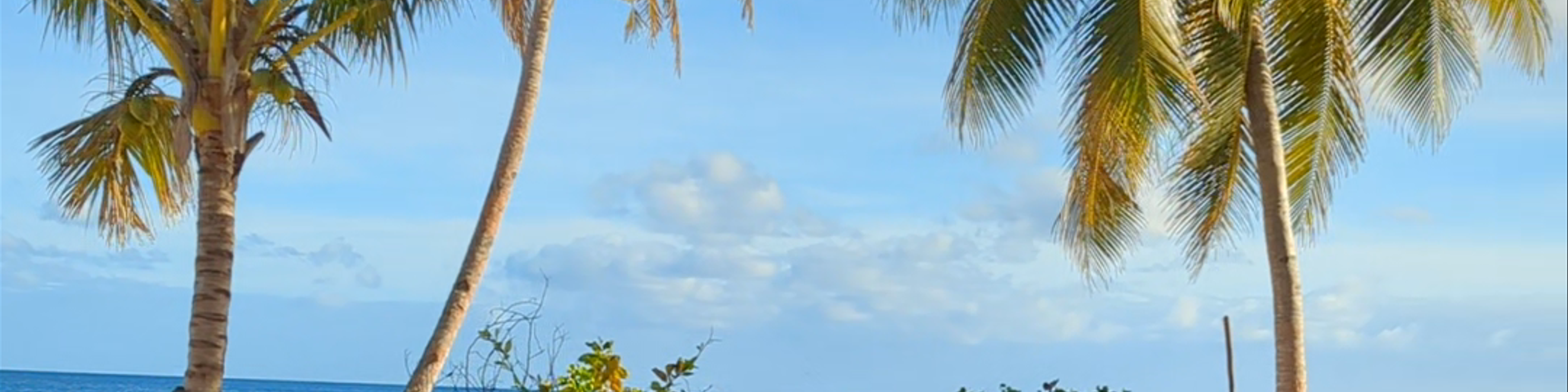 Tonga