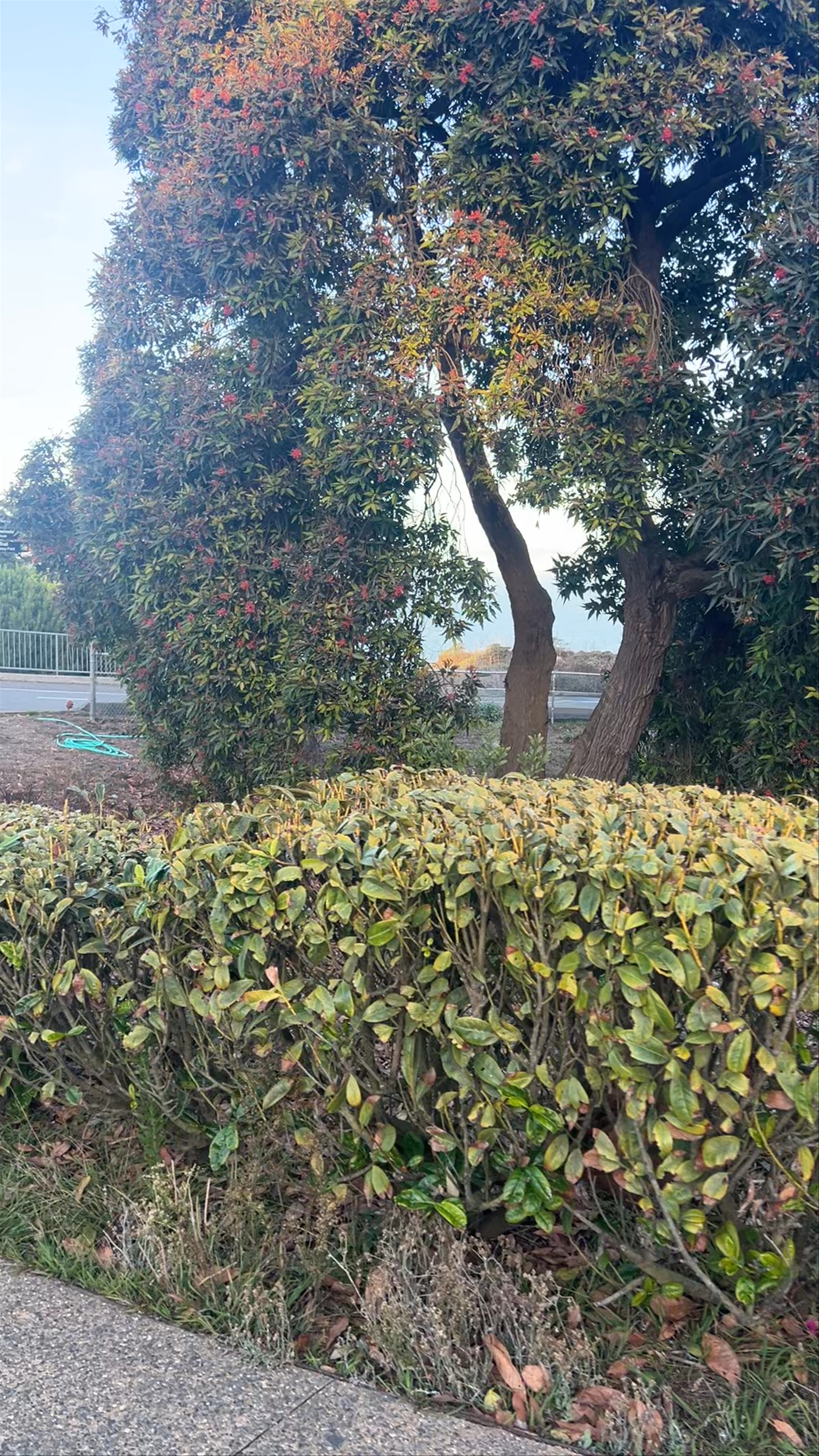 Golden Gate Bridge Plaza
