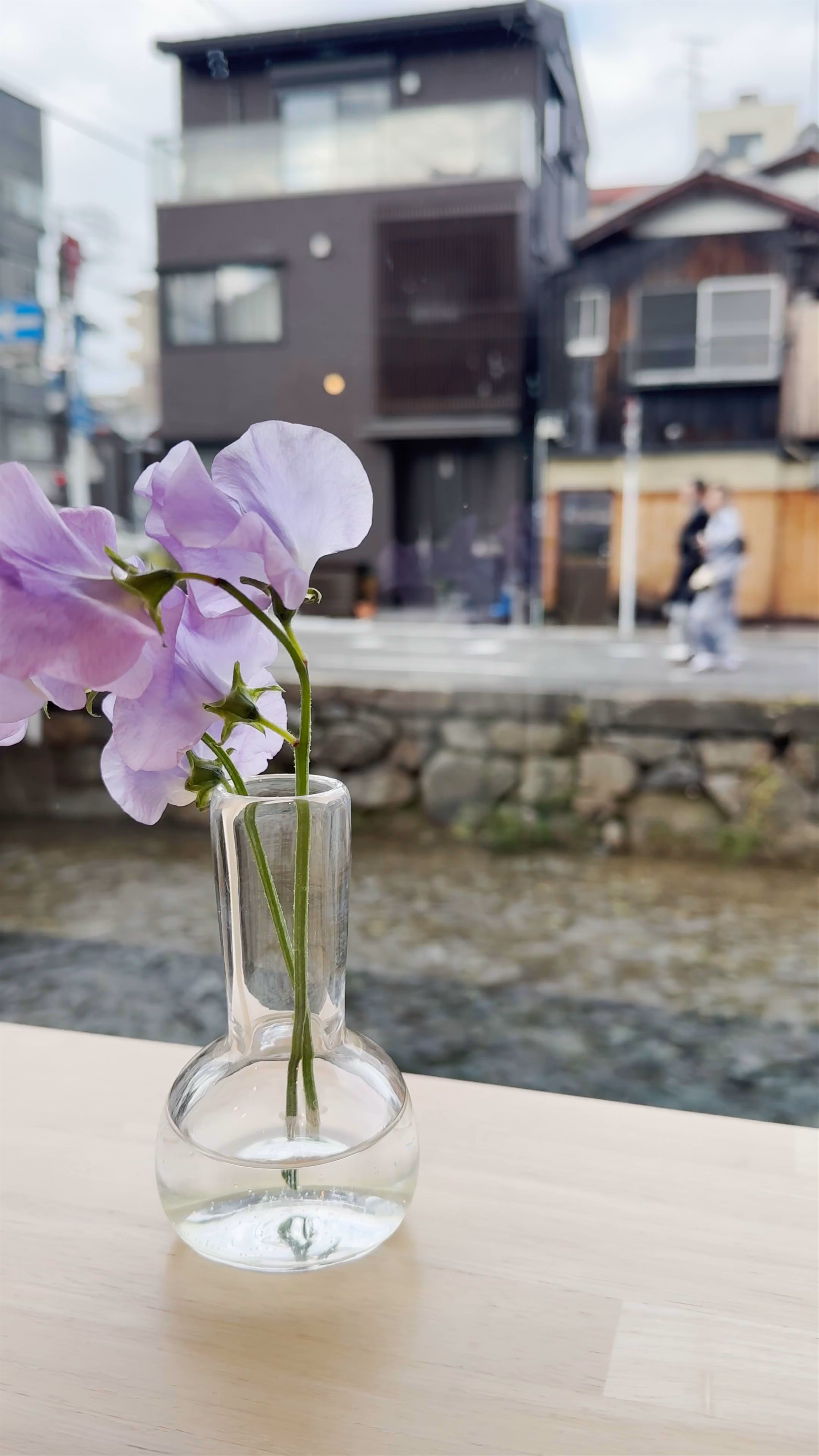 Quiet Riverside Moment in Kyoto with Hana Souffle Cheesecake