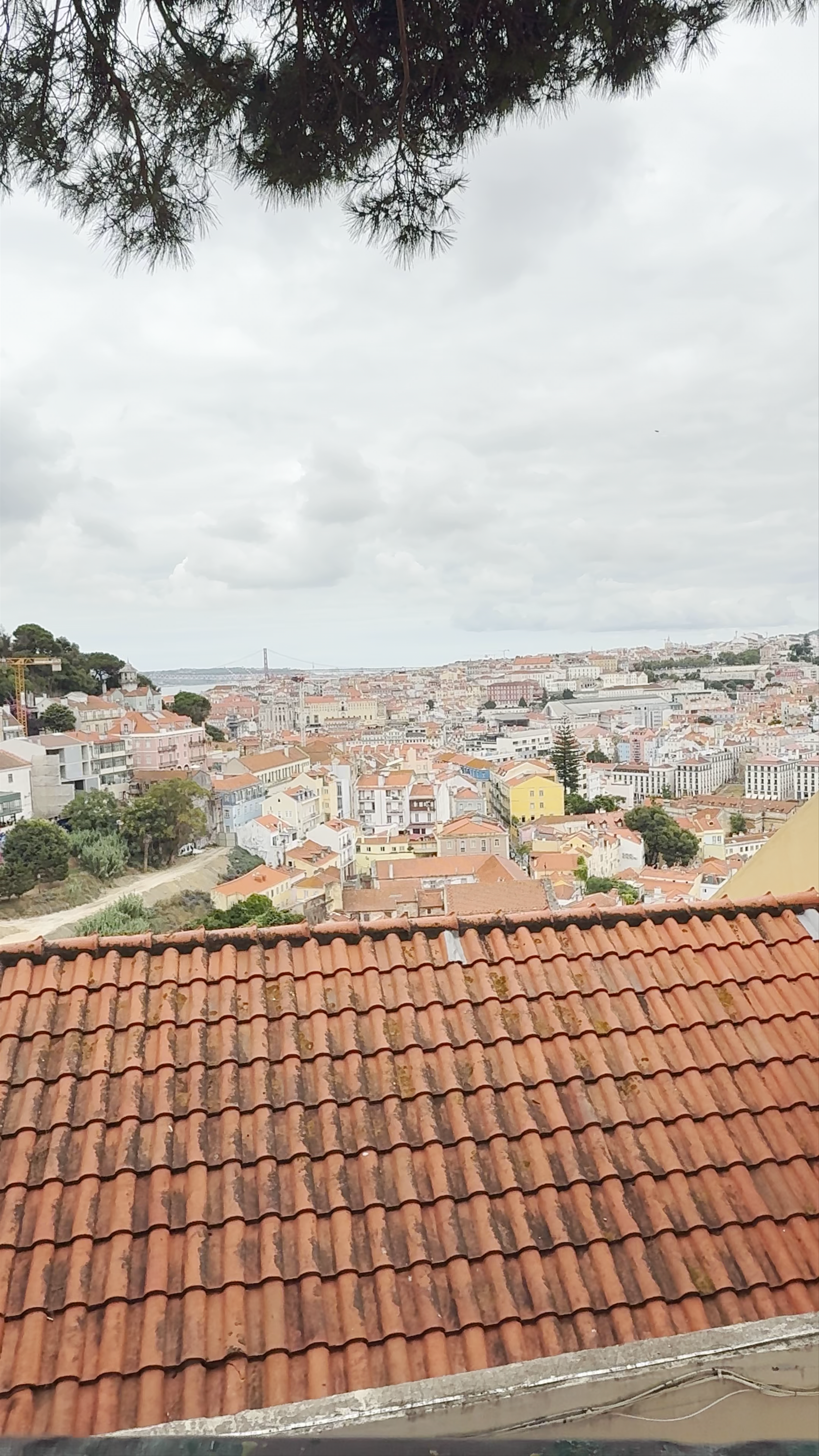 Miradouro da Graça
