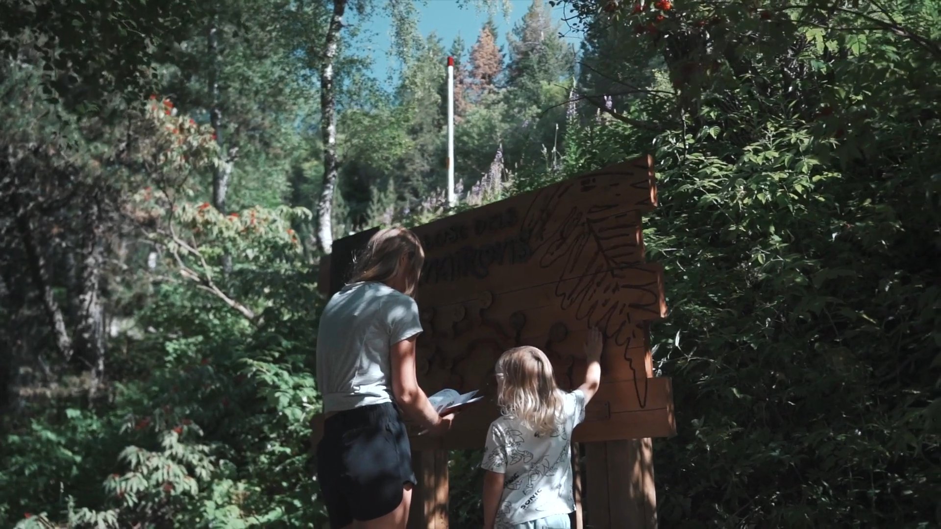 Galerie d'images de Bosc dels Menairons