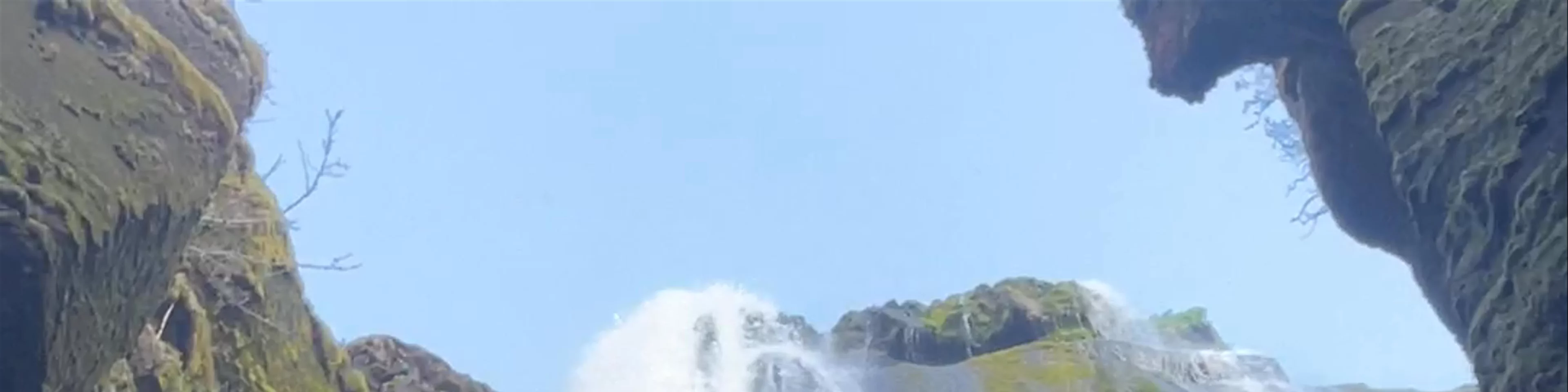Gljufrabui