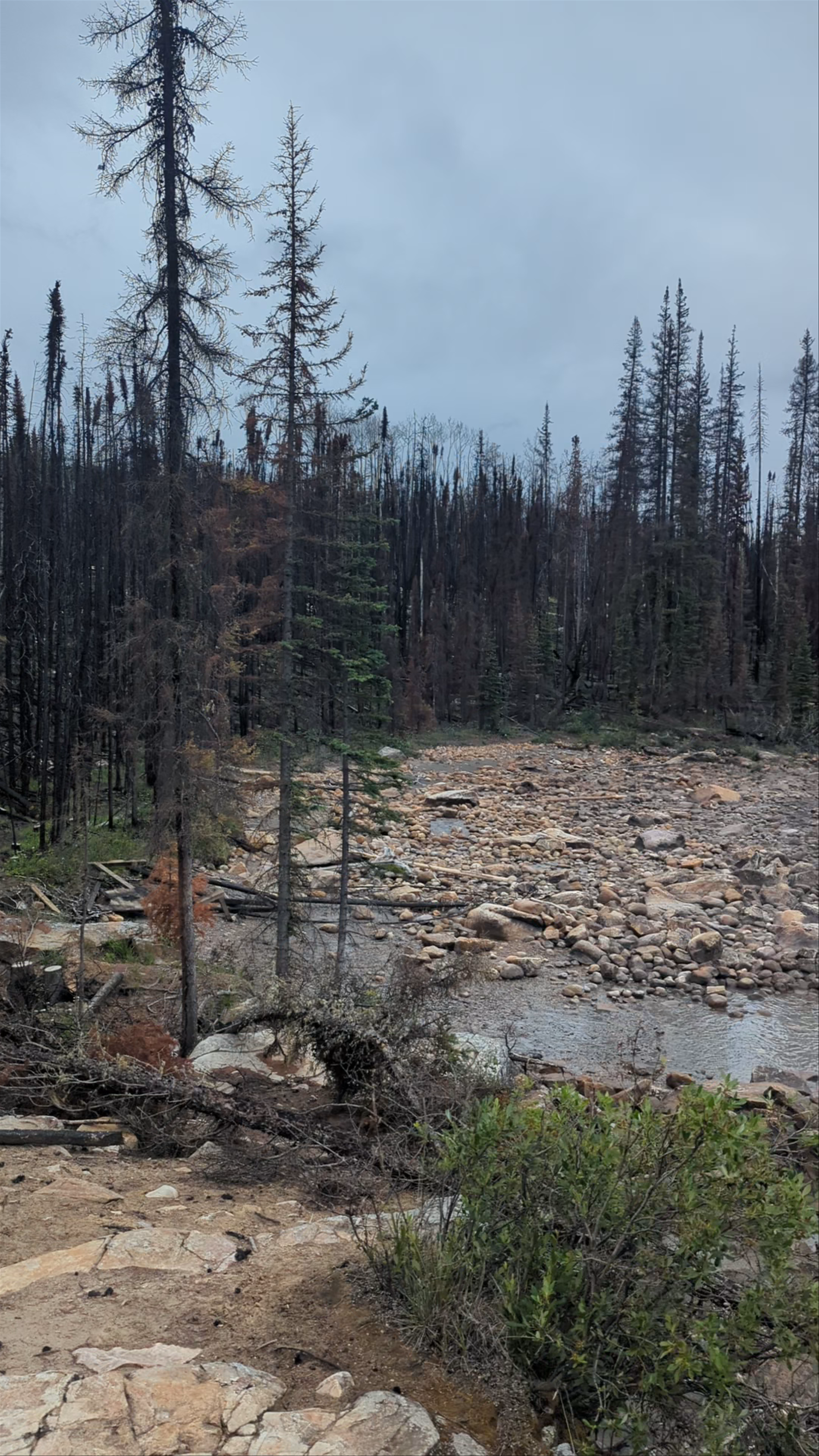 Athabasca River Serenity: A Mystical Northern Alberta Escape