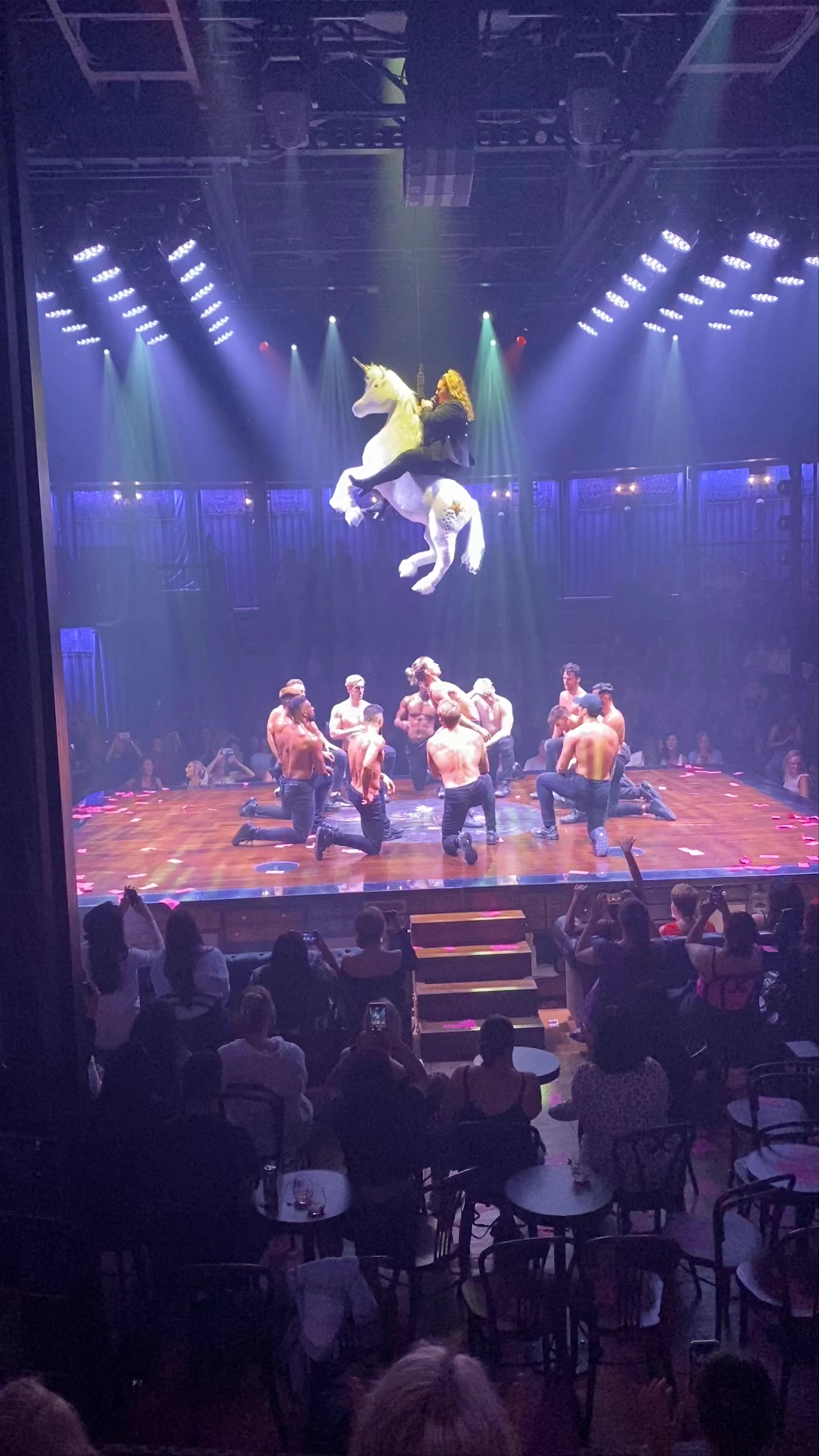Magic Mike Live!
