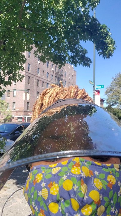 Allan’s Bakery - You hear it all at Allan's! - Bakeries Near Me - Brooklyn, New York