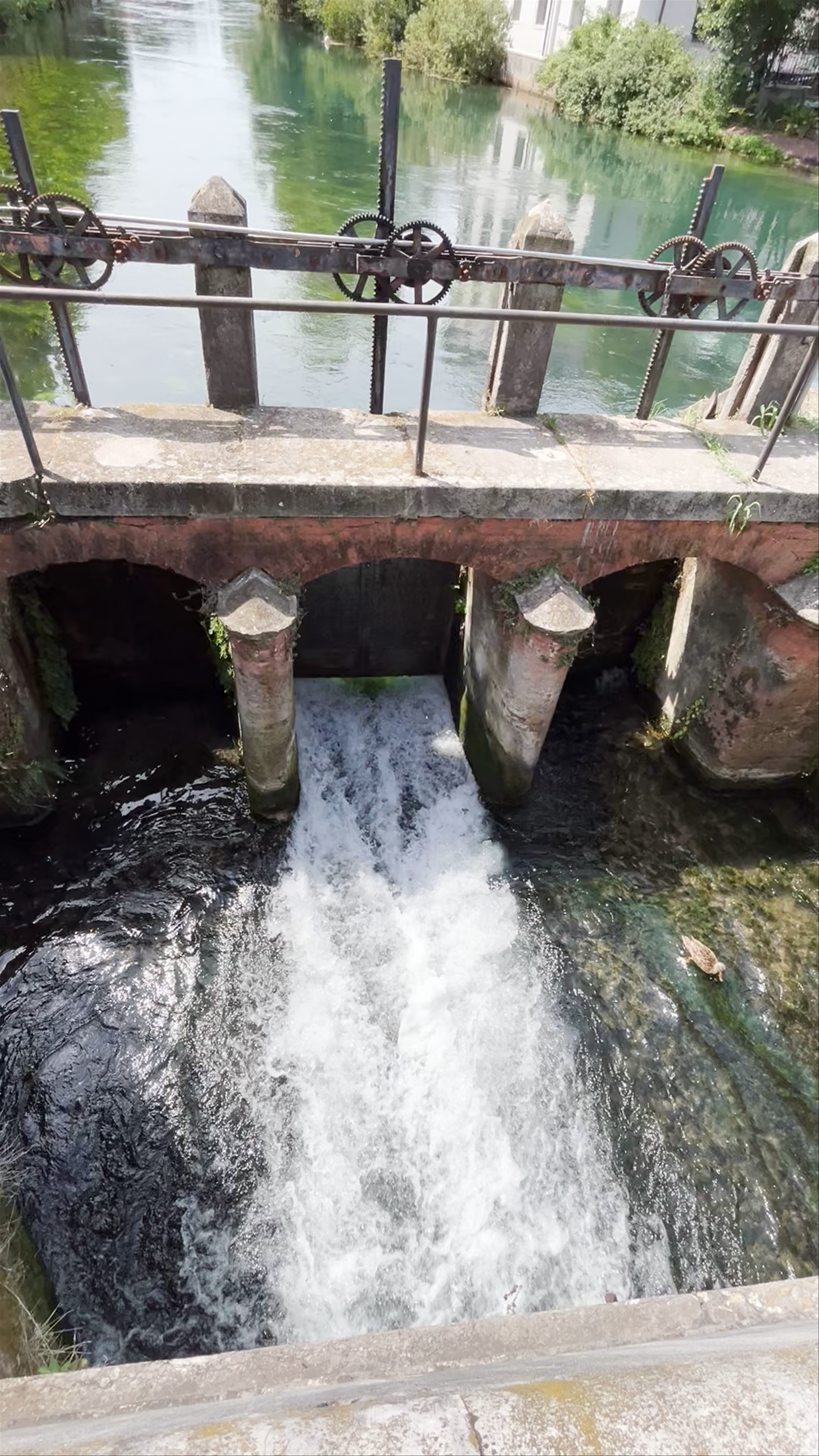 Hidden Waterway Charm in Treviso, Italy