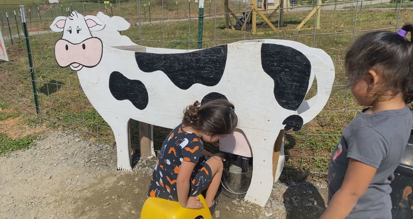 The Farm - Milking the cow - Farms Near Me - Dobson, North Carolina