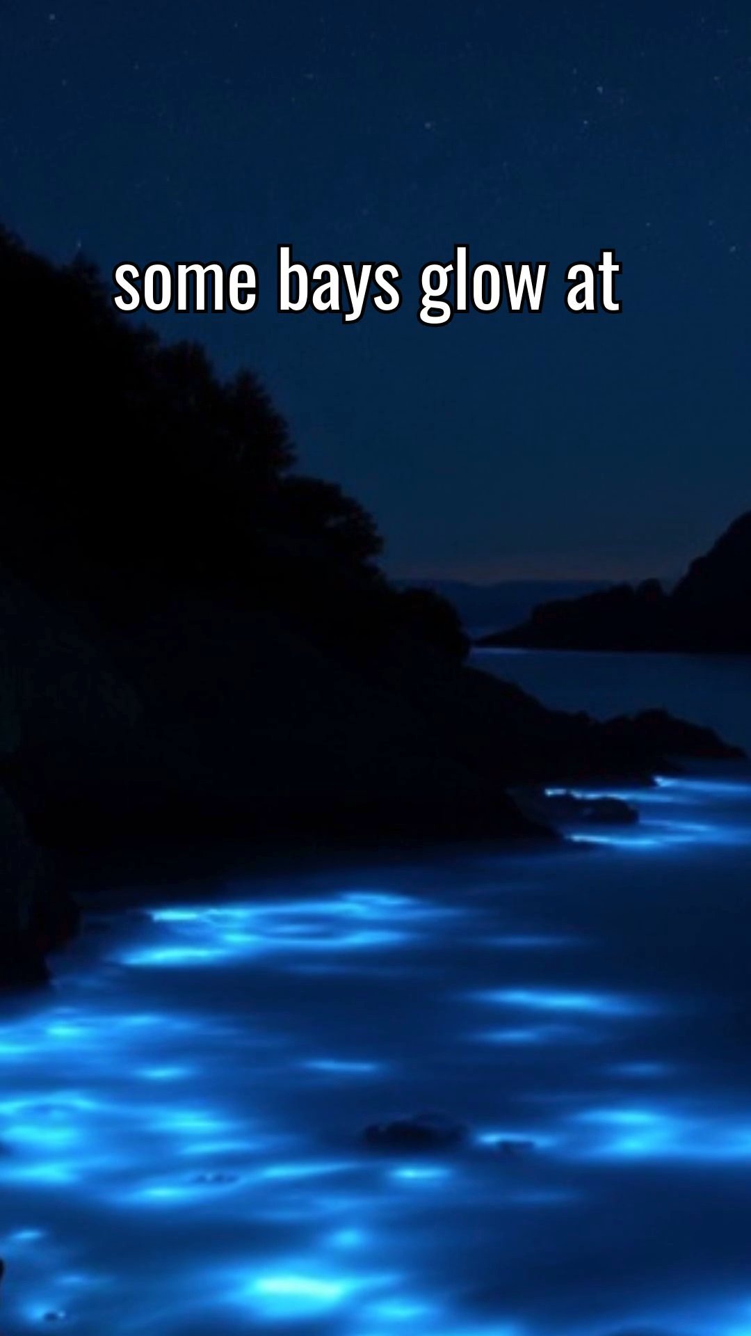 The Enchanting World of Bioluminescent Bays: Nature's Nighttime Glow