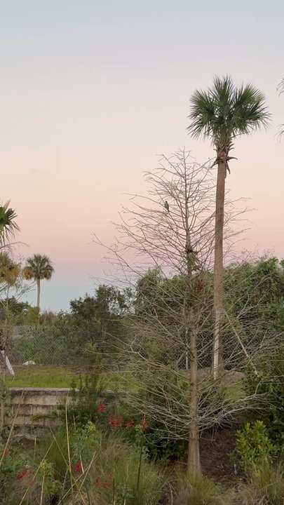 Everglades Elevated Boardwalk - Landmarks & Historical Buildings Near Me - Weston, Florida
