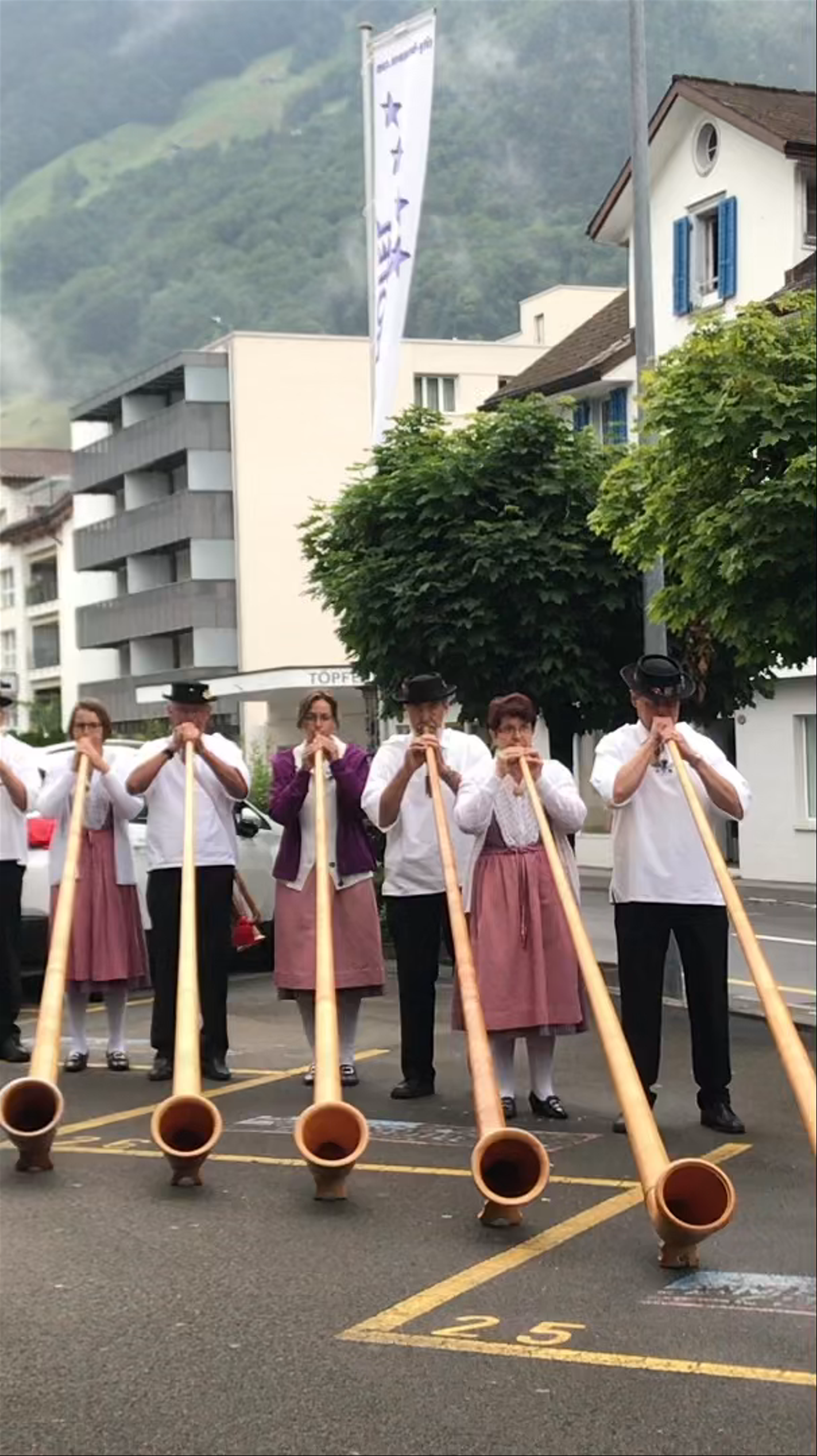Swiss music performance at City Hotel Brunnen
