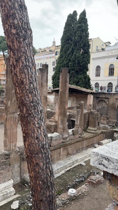 Torre Argentina - Public Plazas Near Me - Rome, RM