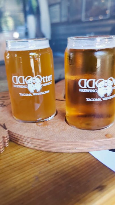Odd Otter Brewing - Beer flight - Breweries Near Me - Tacoma, Washington