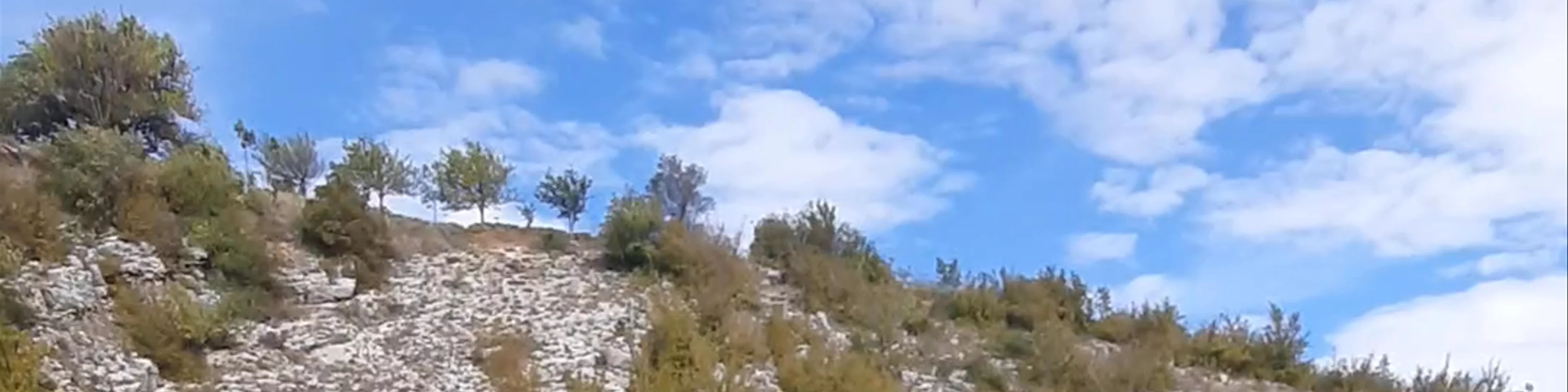 Cetina River Spring