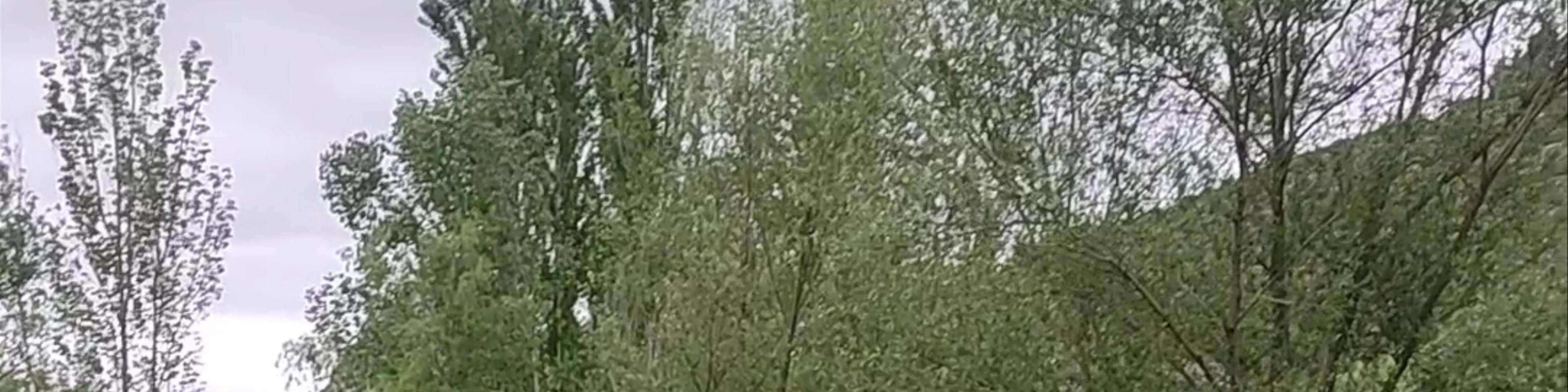 Sendero de Castril