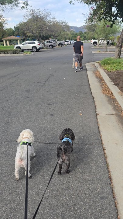Redhawk Community Park - Dog Parks Near Me - Temecula, California