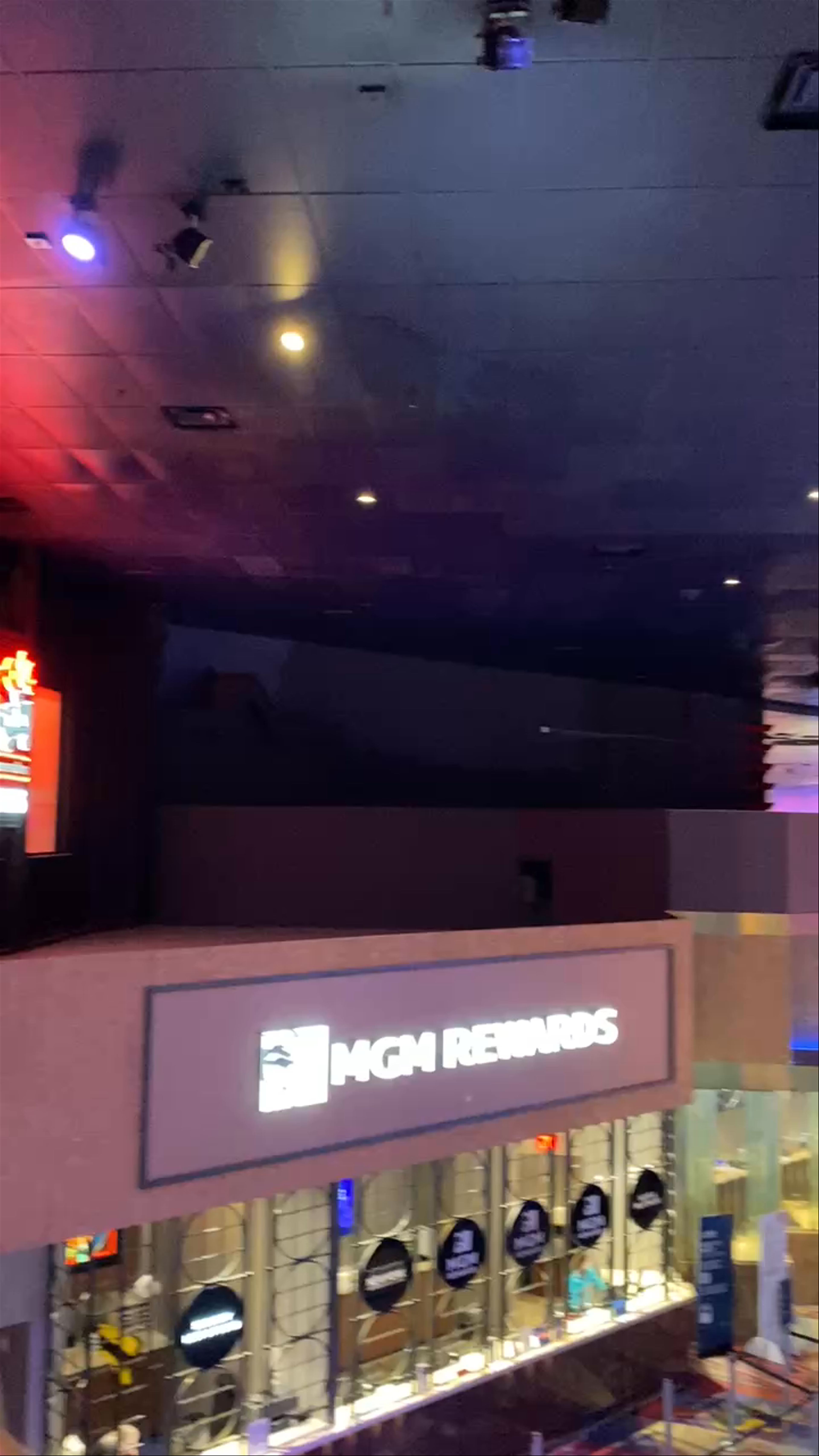 New York-New York Hotel & Casino
