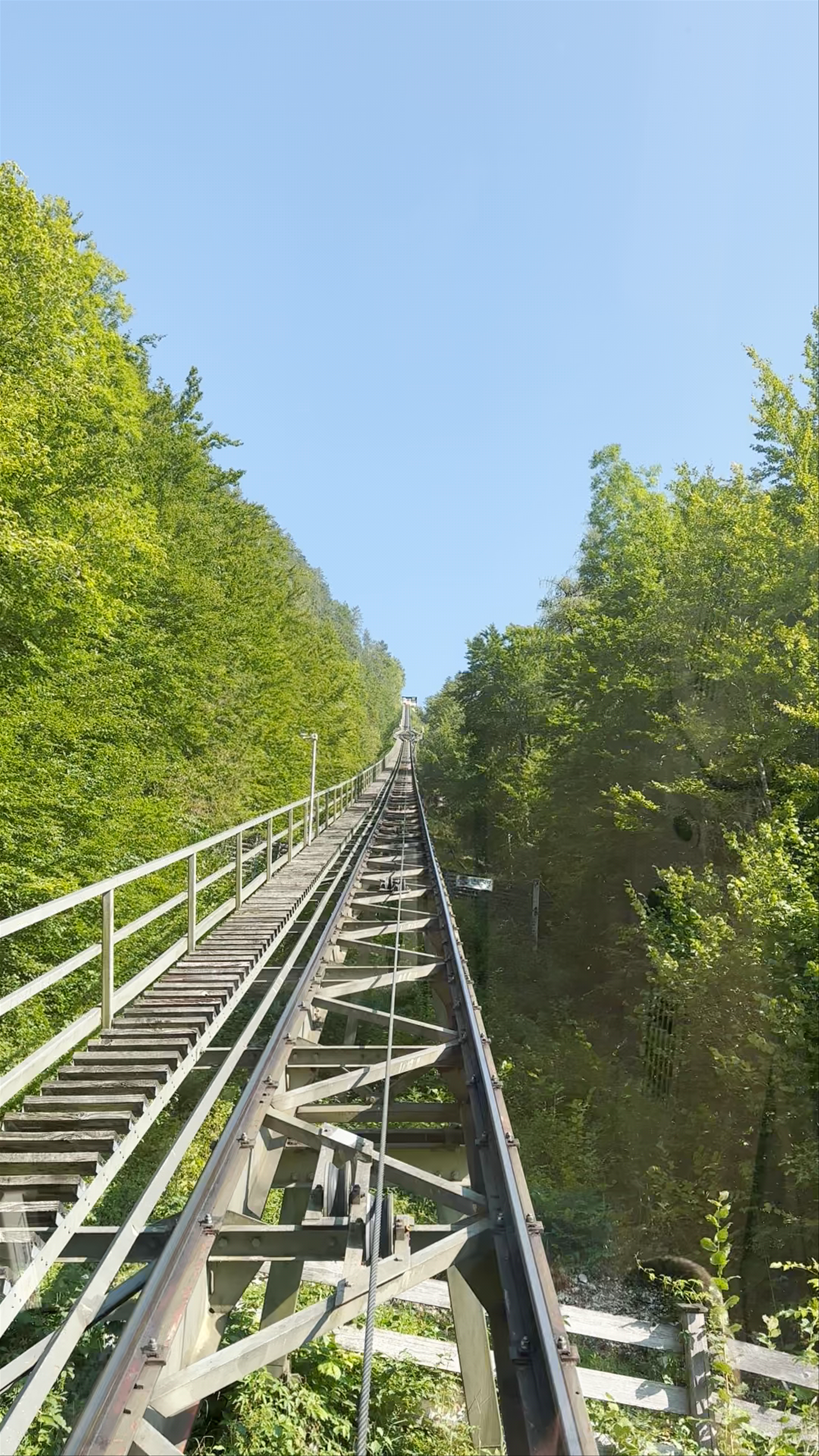 Scenic Funicular Ride through Lush Forests at Salzbergbahn, Hallstatt