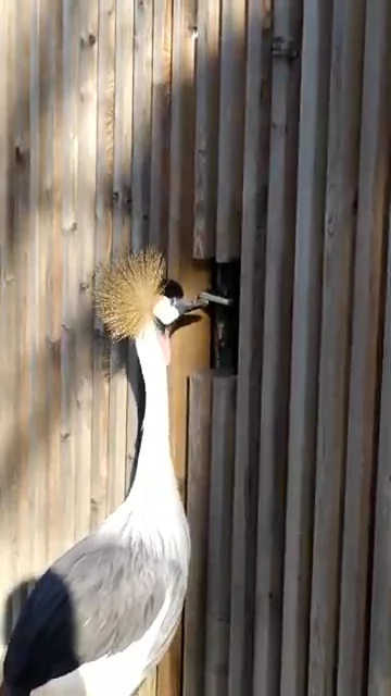 Zoo Zagreb