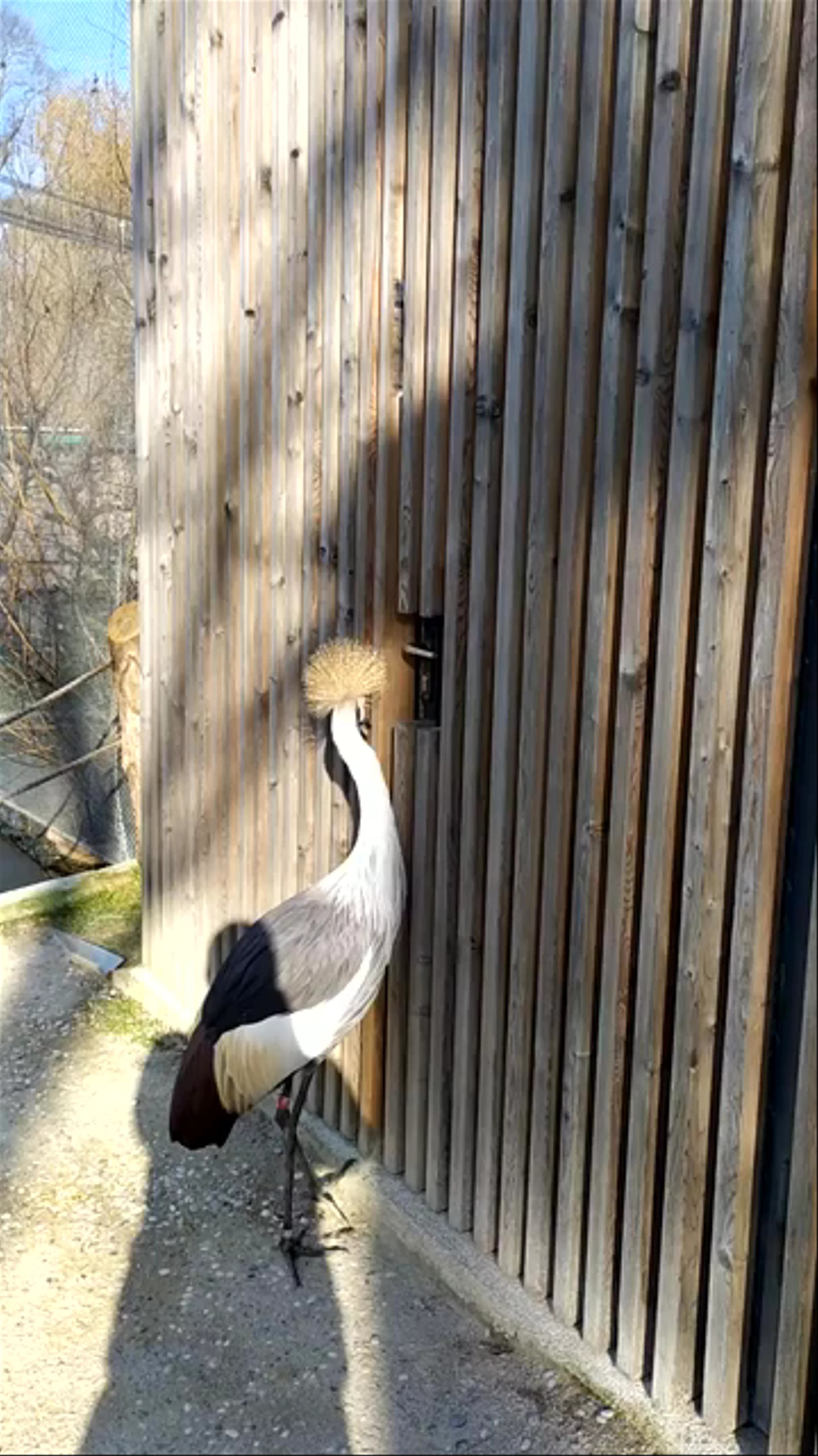 Zoo Zagreb