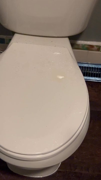 Professor plumber - The ceiling tiles were already bowed from flooding before Mike did work now Leaking pee from toilet upstairs onto new floor & toilet. - Plumbing Near Me - Wood River, Illinois