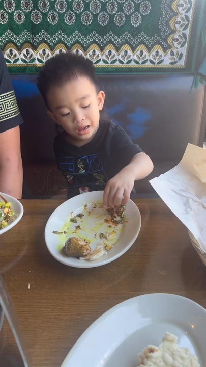 Kabob - My son loved the lamb kabobs and hummus here ! - Middle Eastern Near Me - Portland, Oregon