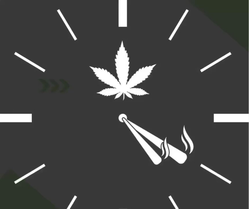 Bob Natural - Bob Natural Cannabis Dispensary - Cannabis Dispensaries Near Me - Jamestown, New York