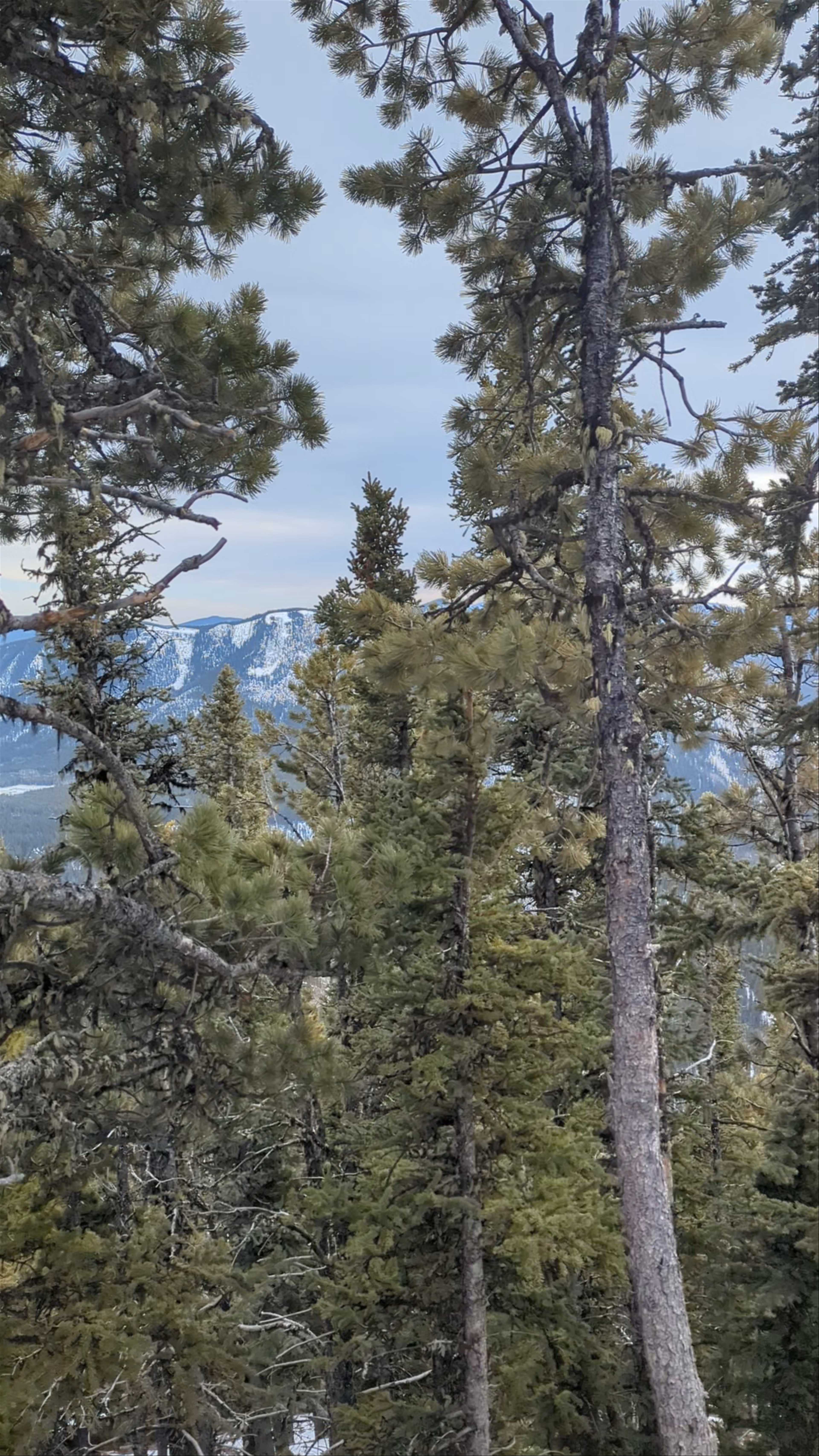 Powderface Ridge Trailhead