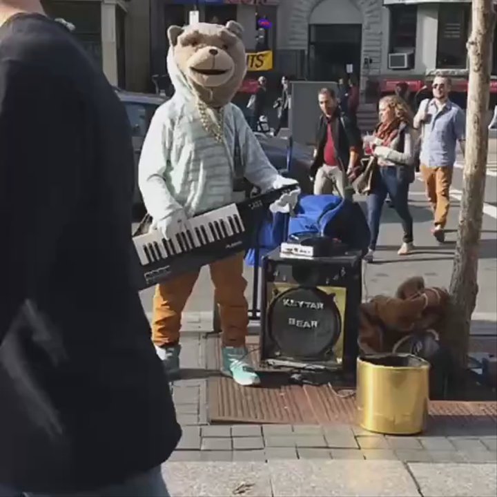 Keytar Bear - Plays all the latest - Performing Arts Near Me