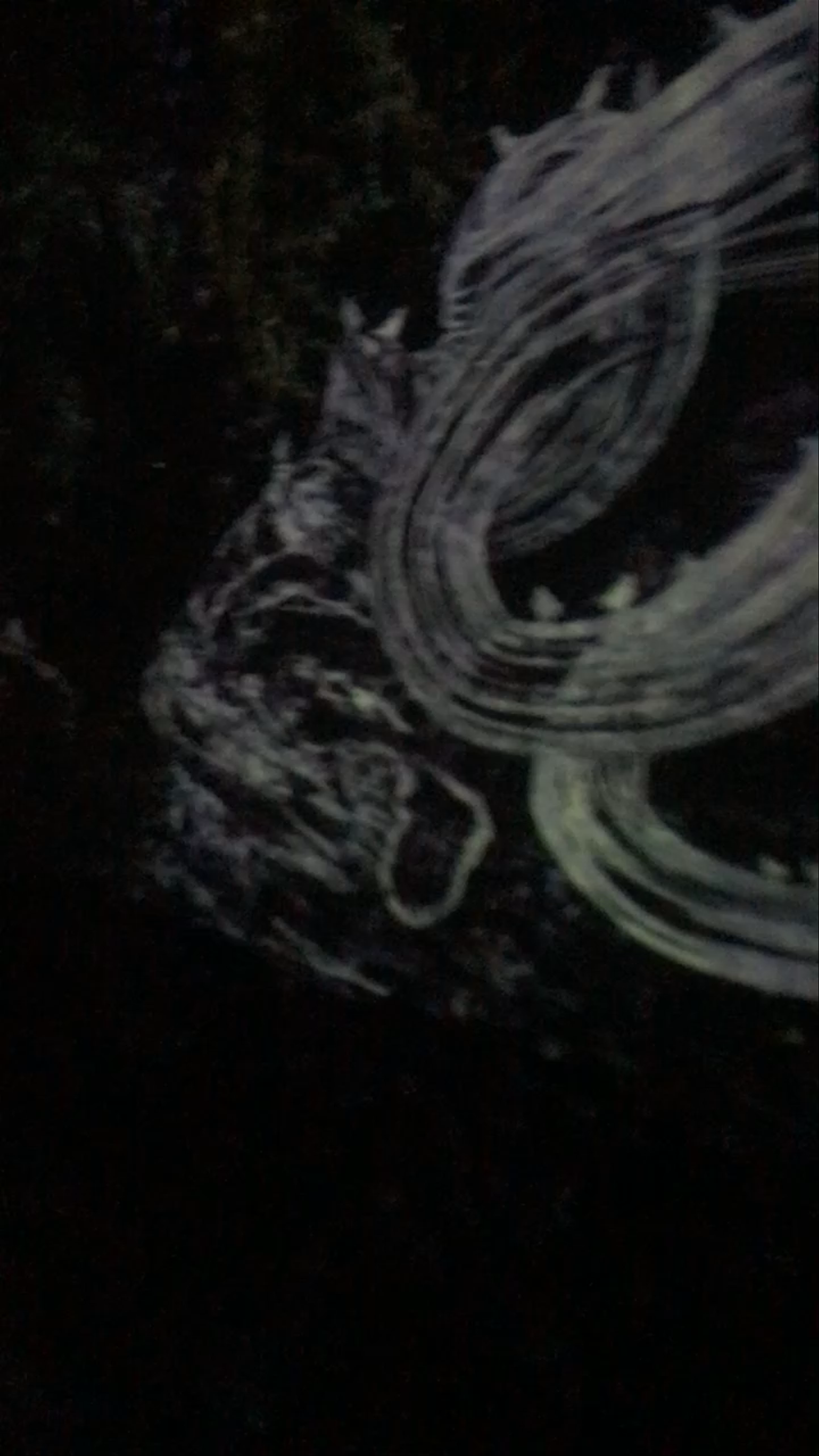 Futuristic Light Art at ArtScience Museum, Singapore