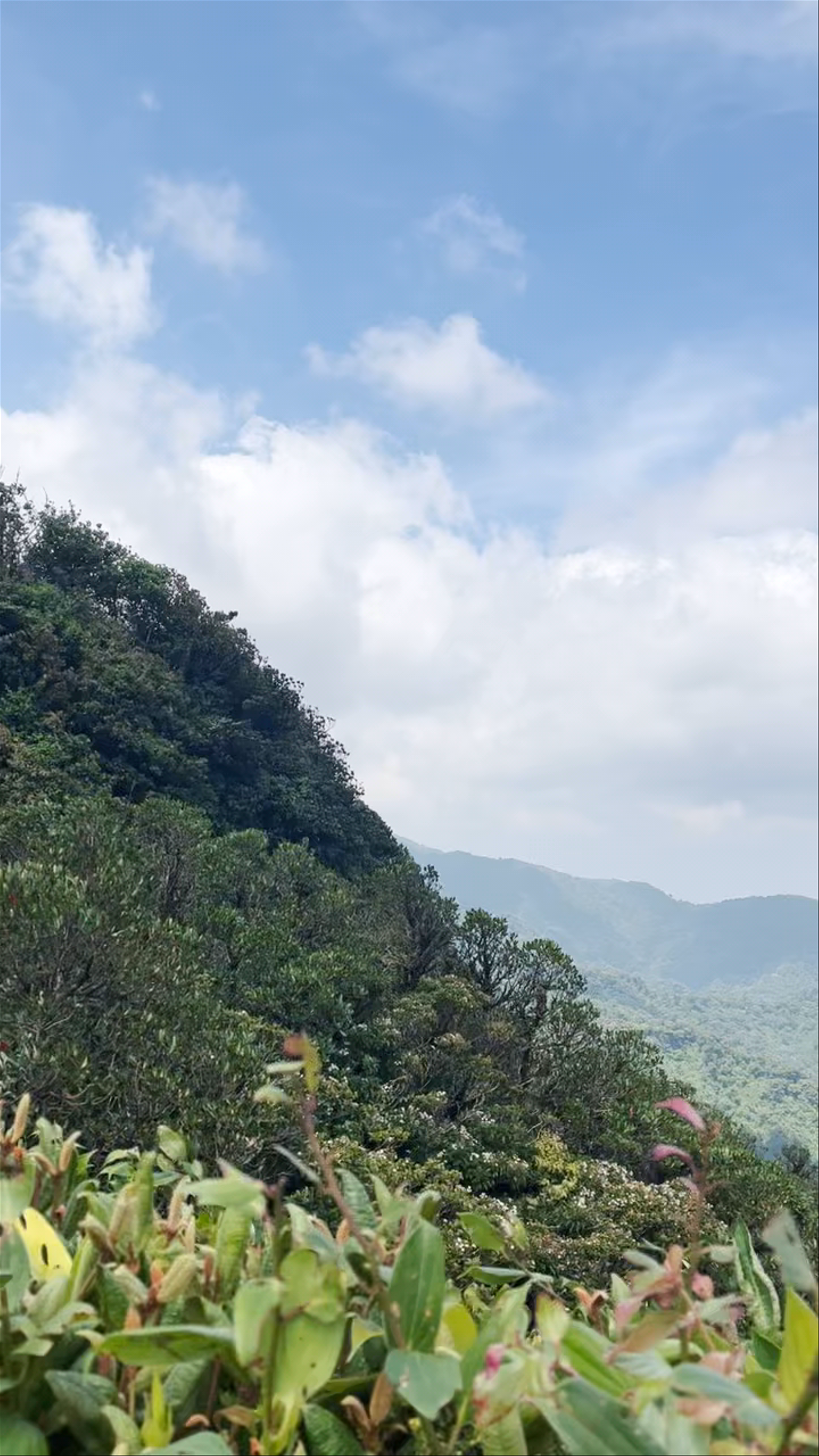 Monteverde Cloud Forest Biological Preserve