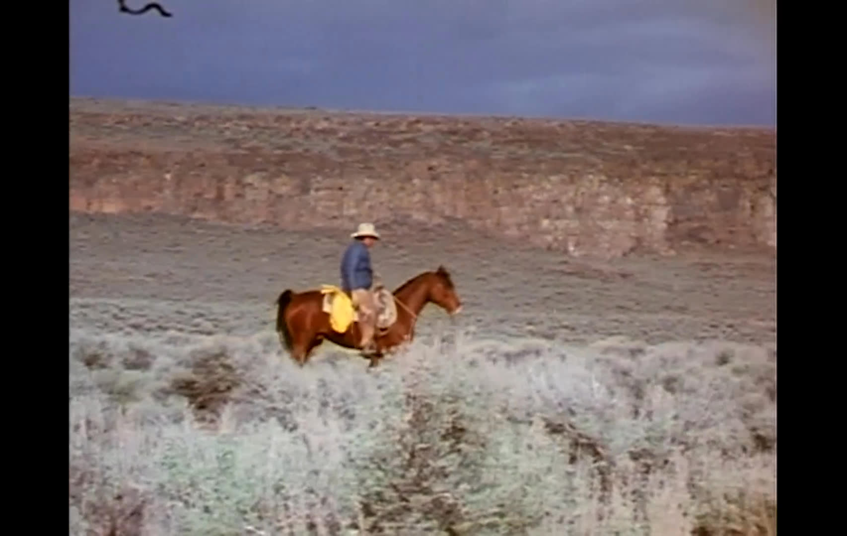 A seated speaker discusses growing pressure on the American West’s open spaces and the effects of grazing. Cutaways follow a lone rider on horseback across a broad, scrub-covered range.