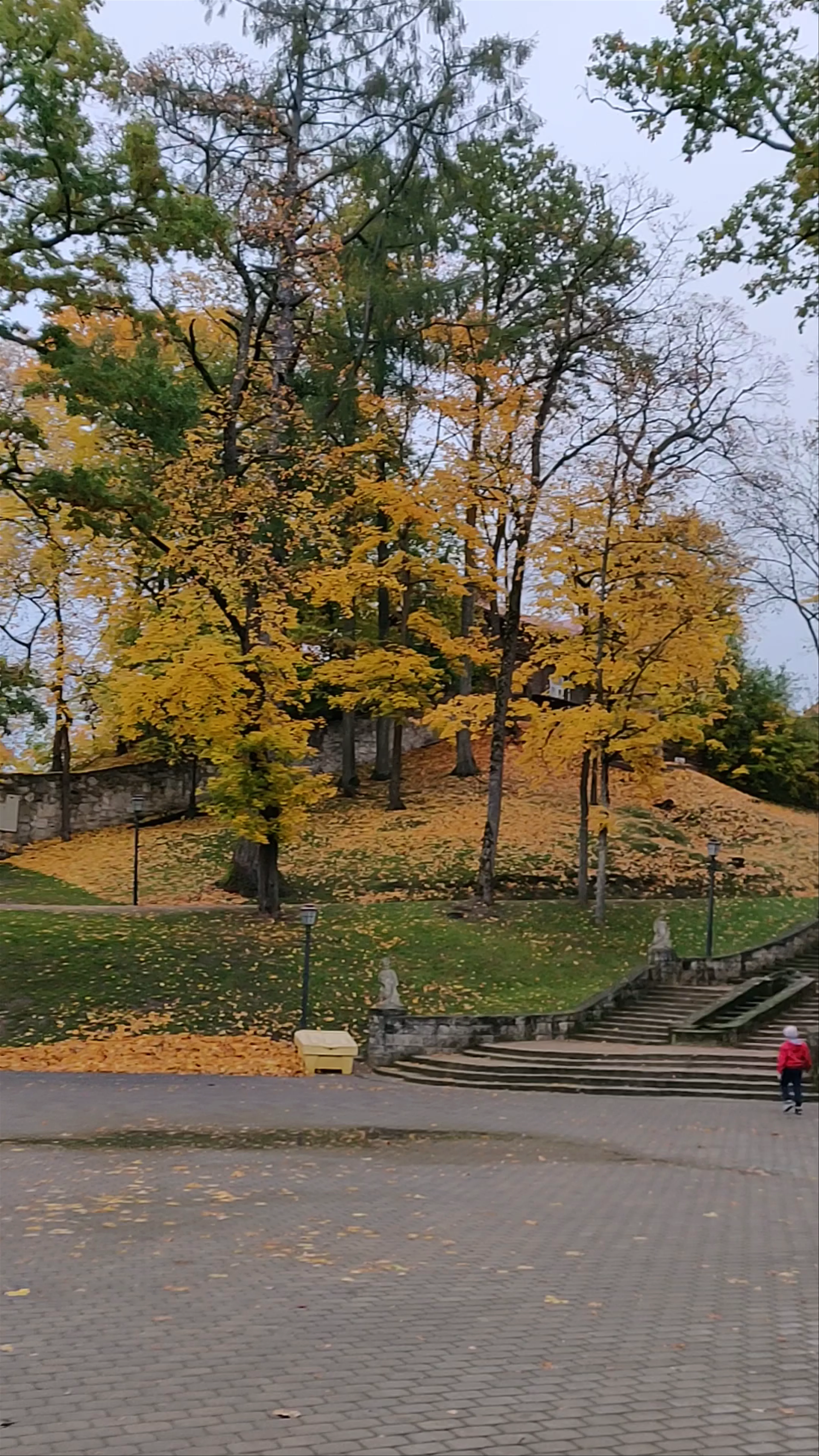 Cēsis Castle, Pils laukums, Cēsis, Cēsu pilsēta, Cēsis Municipality, Latvia