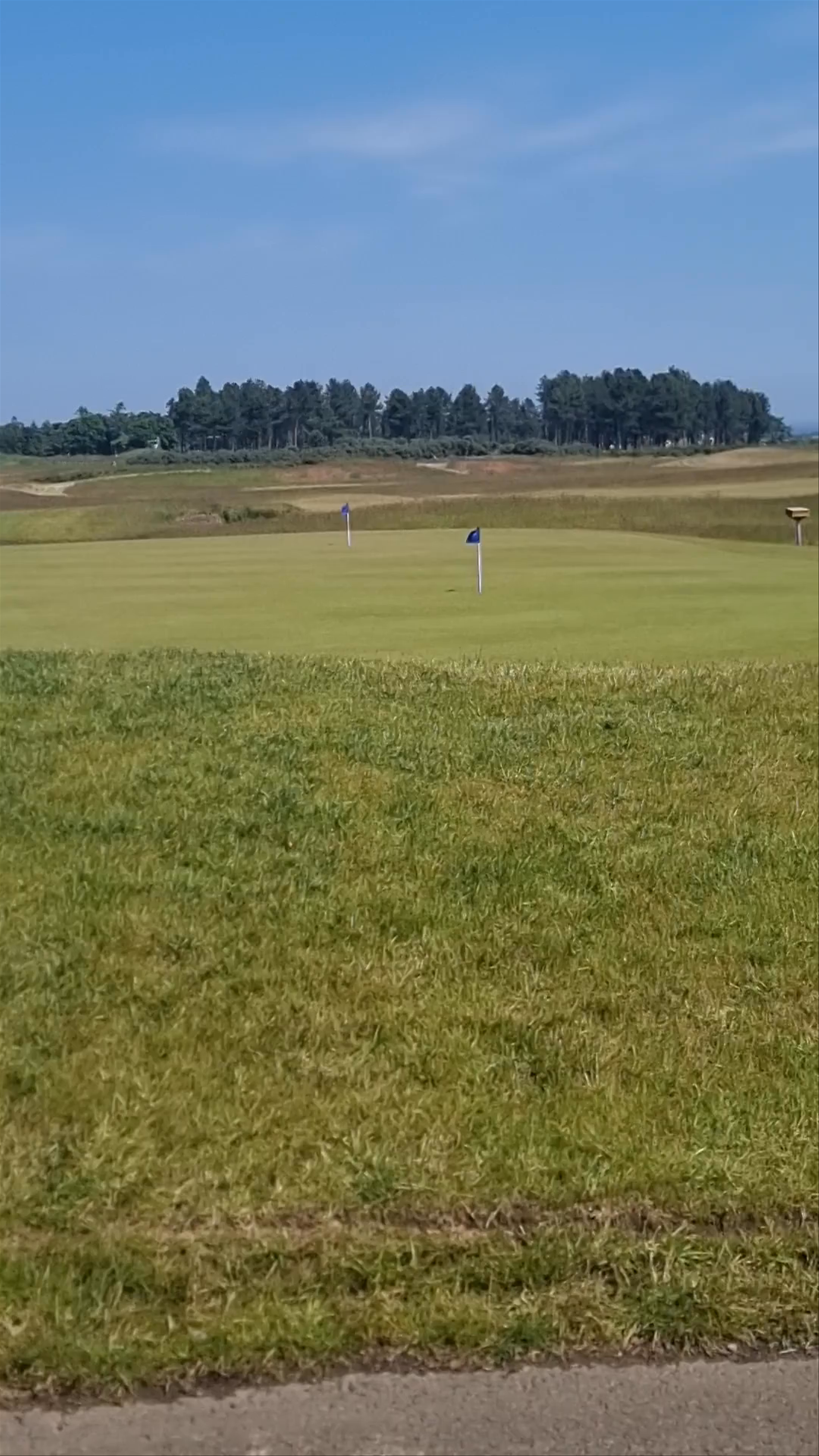 The Renaissance Club