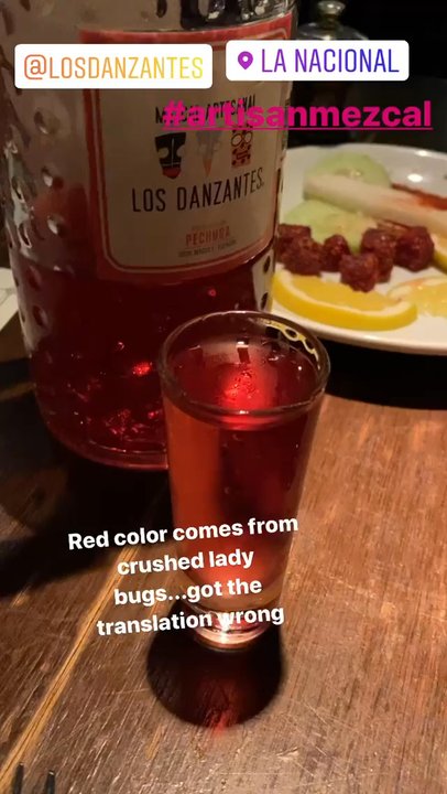 La Nacional - Los danzantes Pechora mezcal - Mexican Near Me - Monterrey, NLE