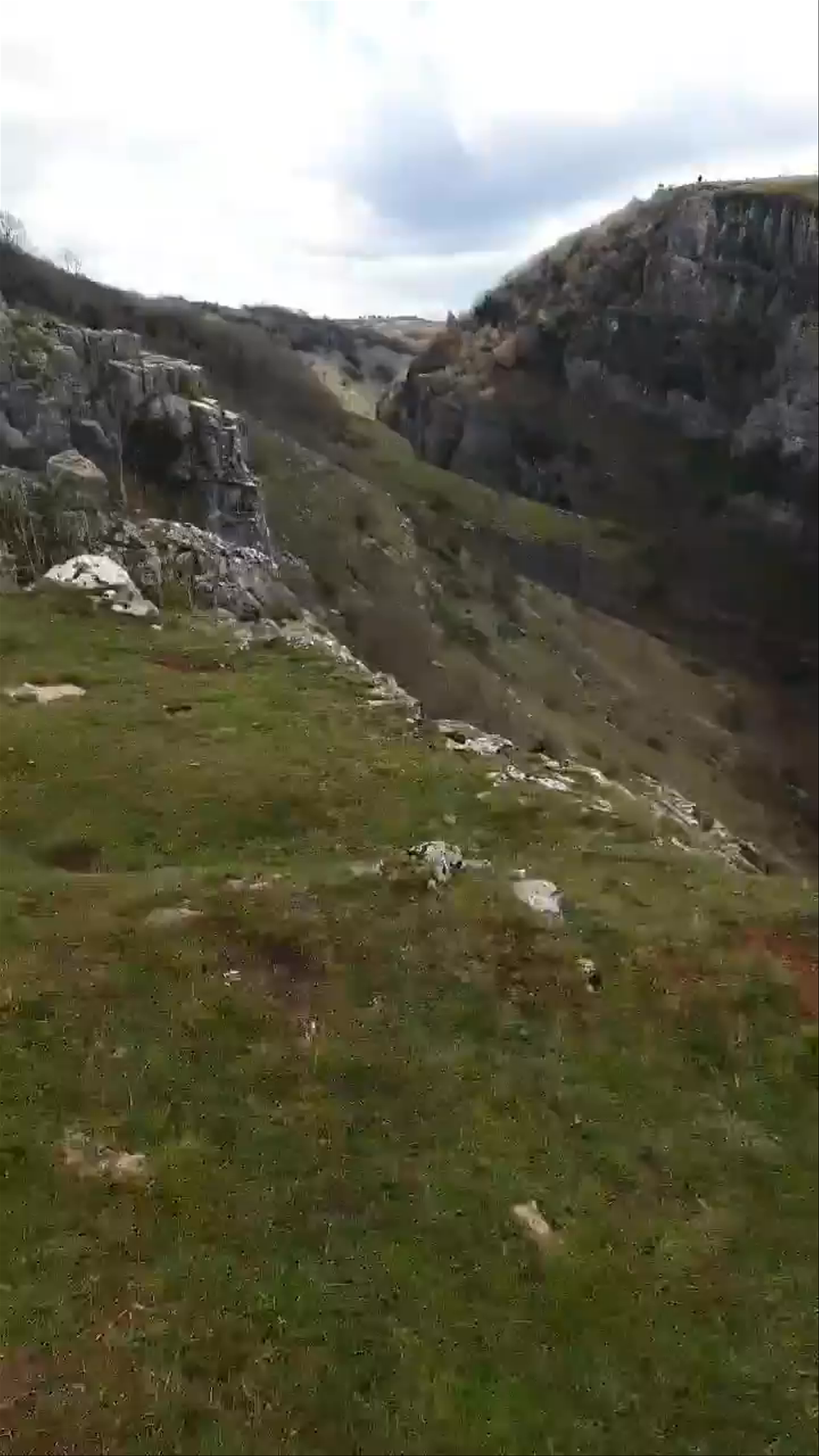 Cheddar Gorge