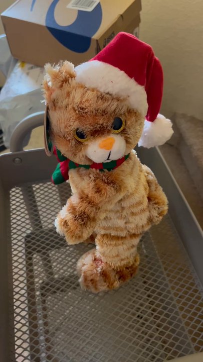 Big Lots - How cute is this???? Meow meow 10/2023 - Department Stores Near Me - Henderson, Nevada