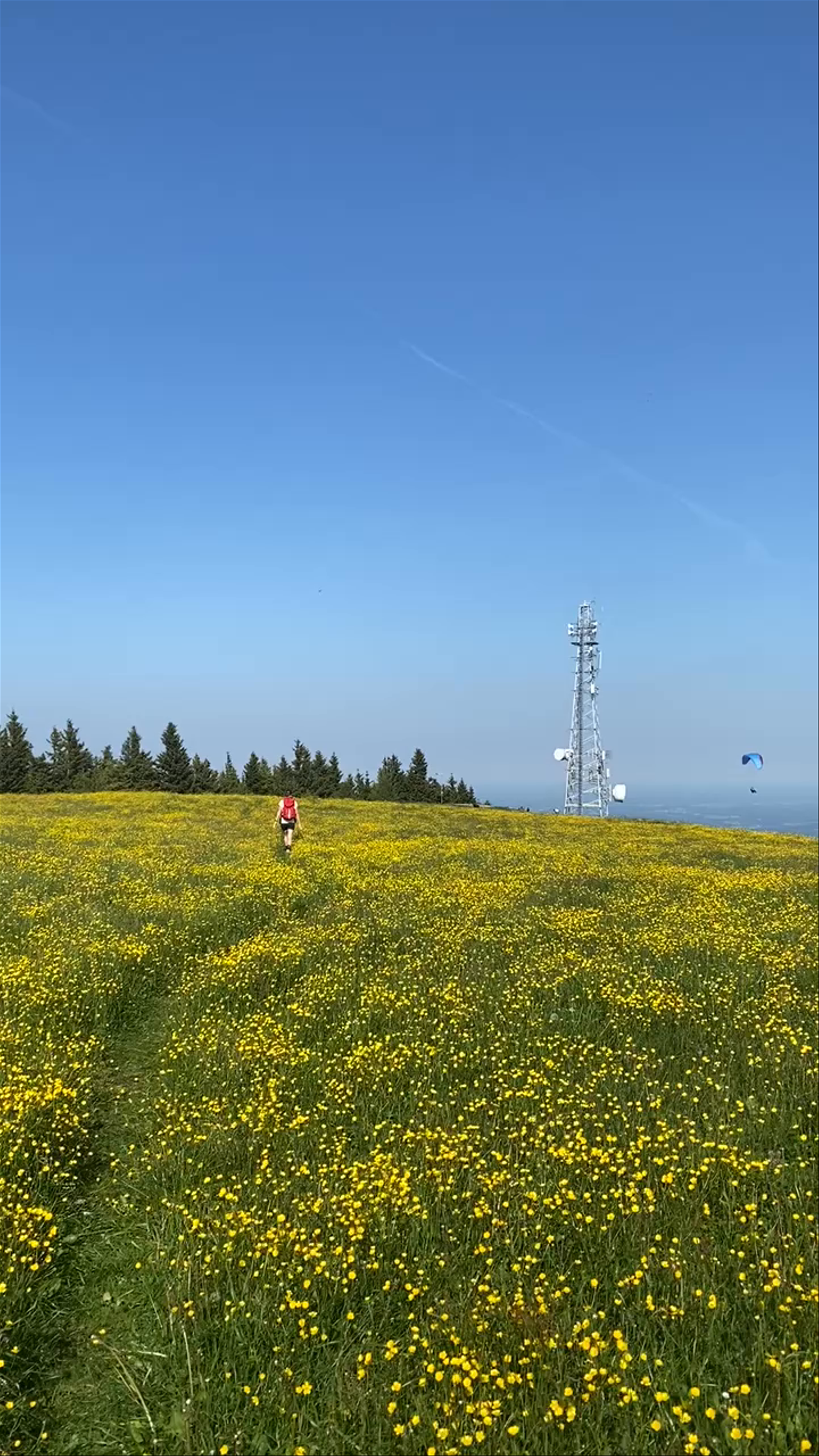 Alpengasthof am Schöckl & Ludwig 24/7