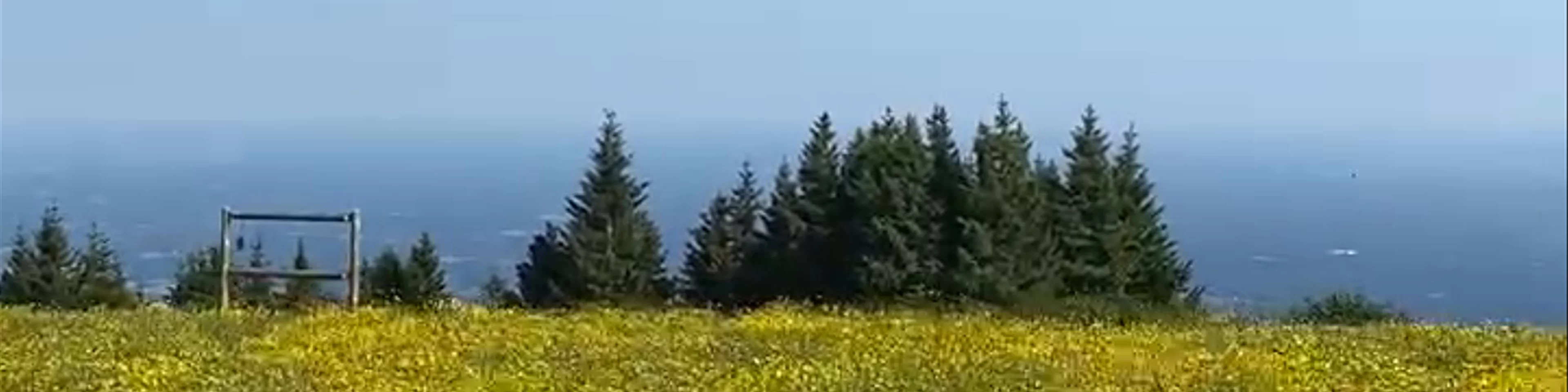 Alpengasthof am Schöckl & Ludwig 24/7