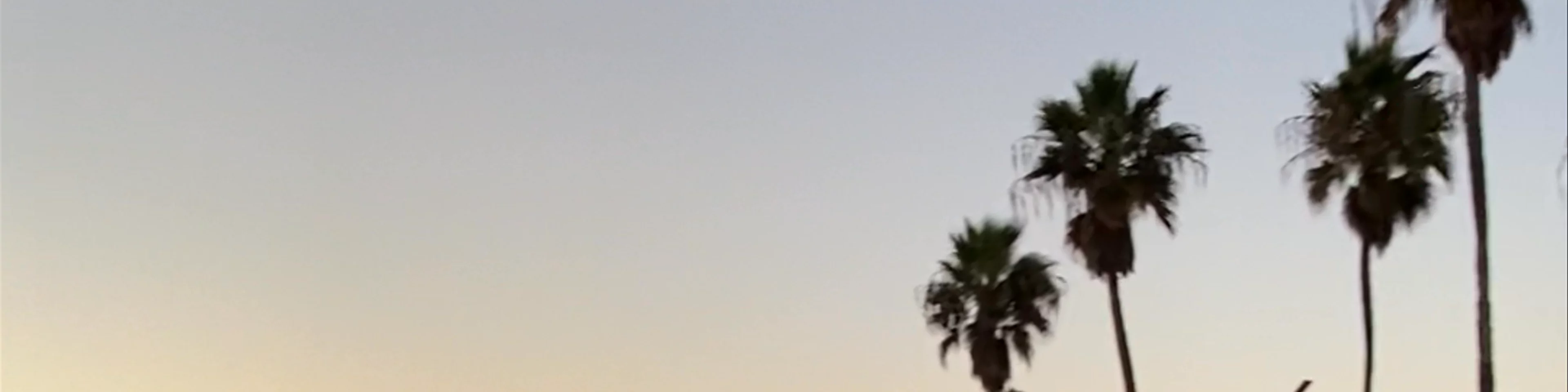 Venice beach