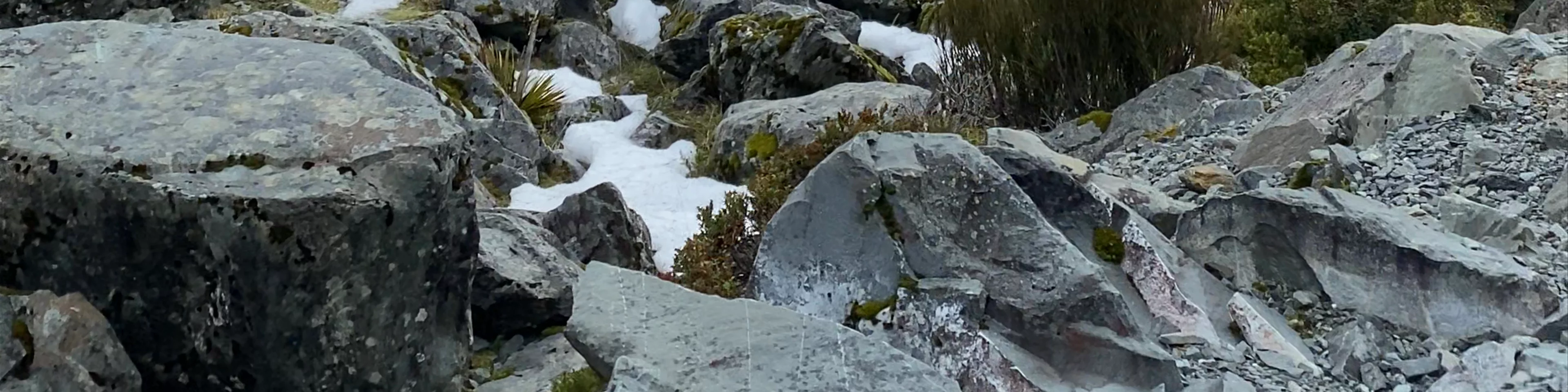 Aoraki/Mount Cook National Park