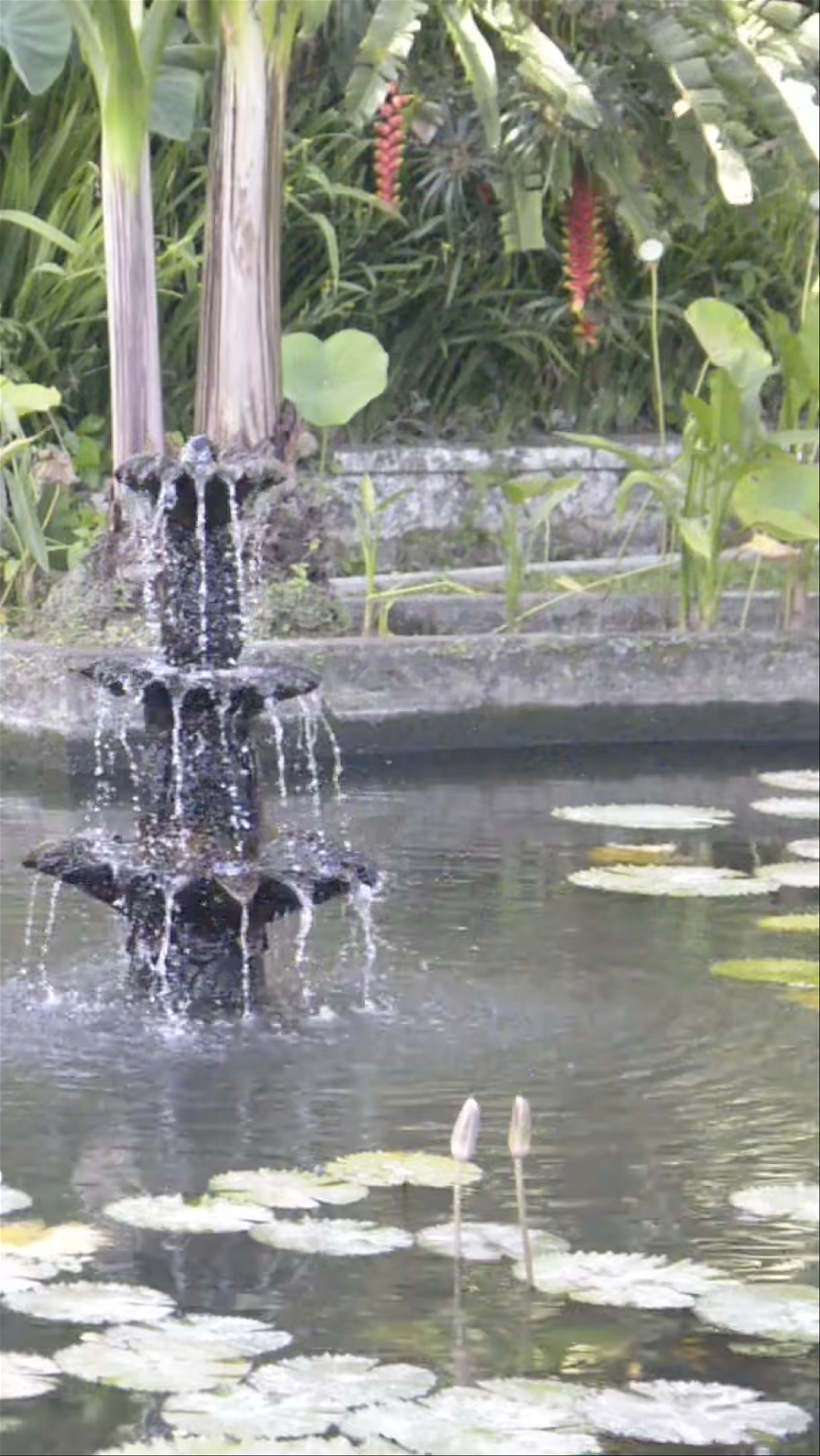 Serene Waters at Tirta Gangga, Bali's Tranquil Water Palace