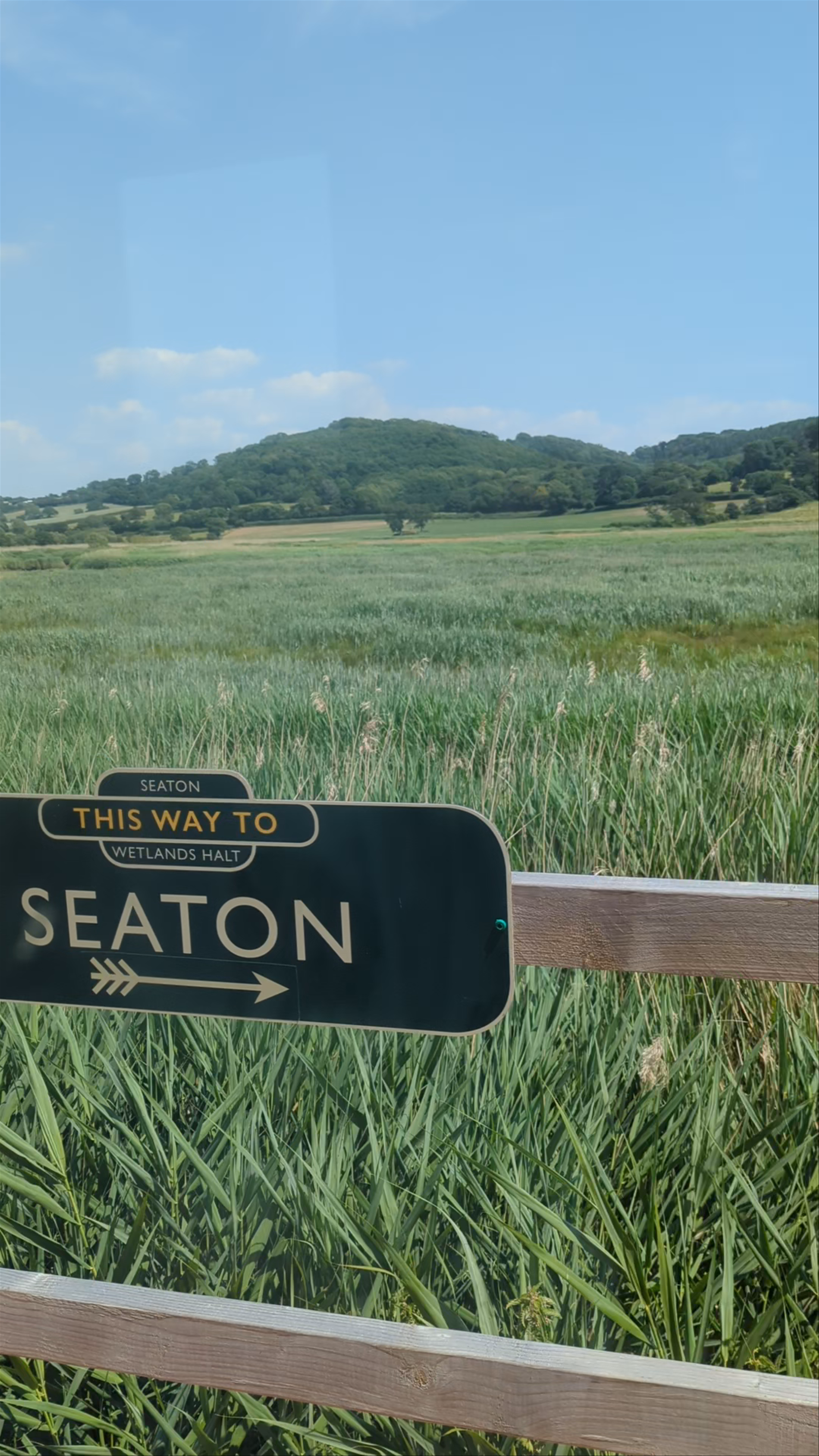 Seaton Wetlands