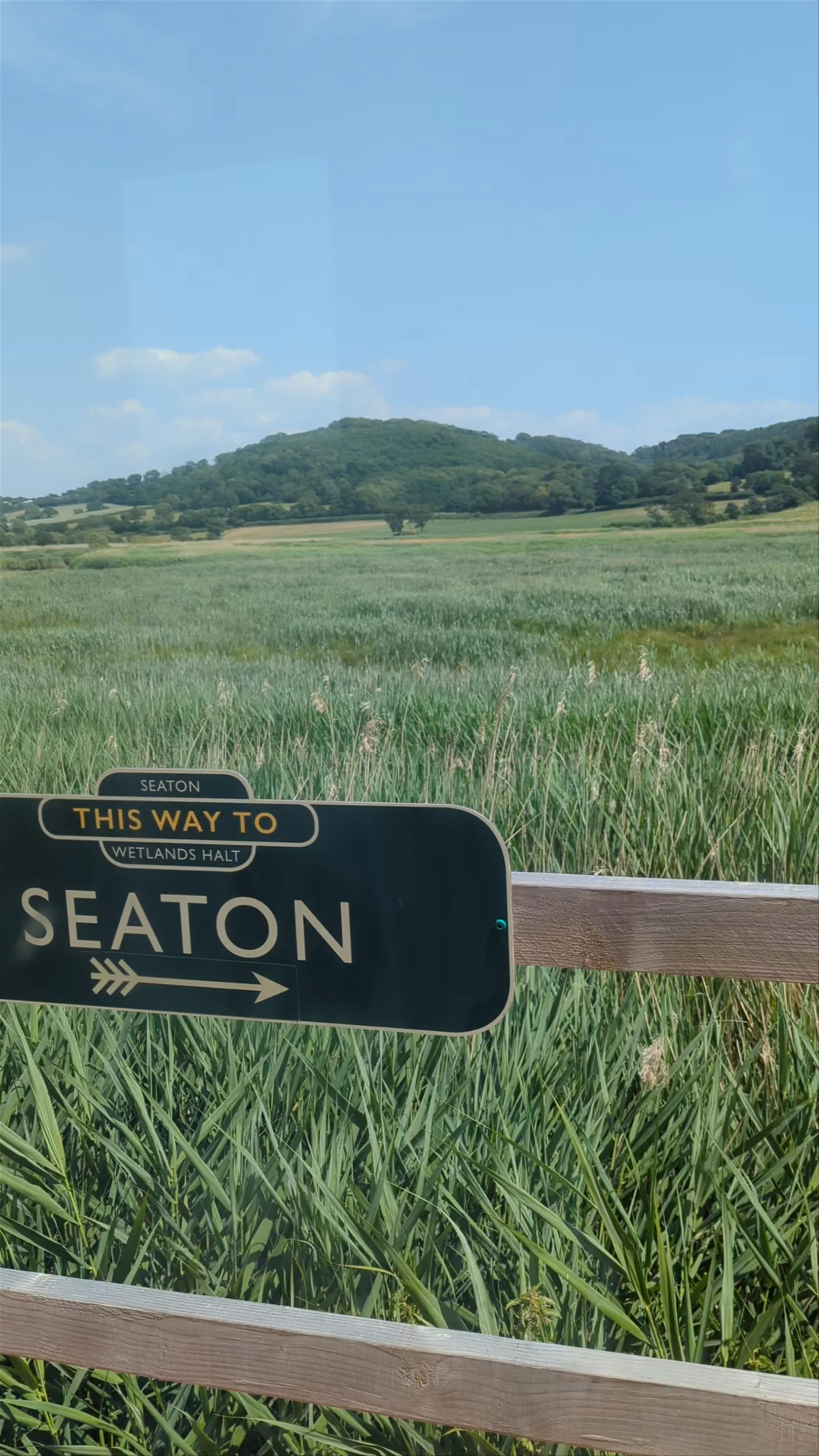 Seaton Wetlands