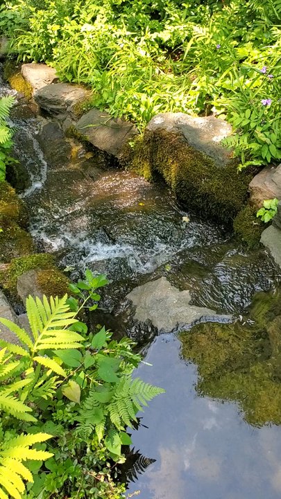 Mt Cuba Center - Botanical Gardens Near Me - Hockessin, Delaware