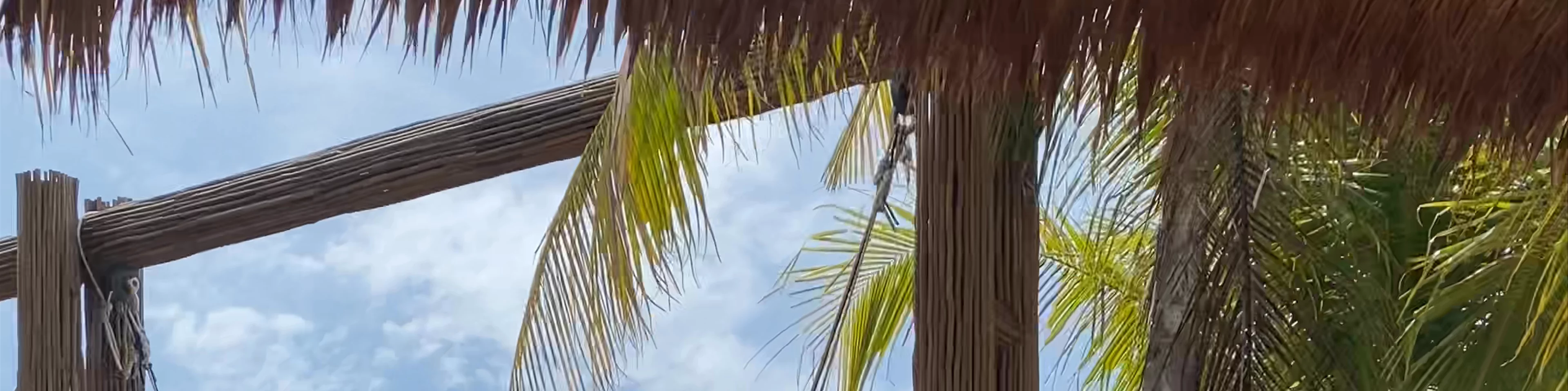 Veranta Cafe